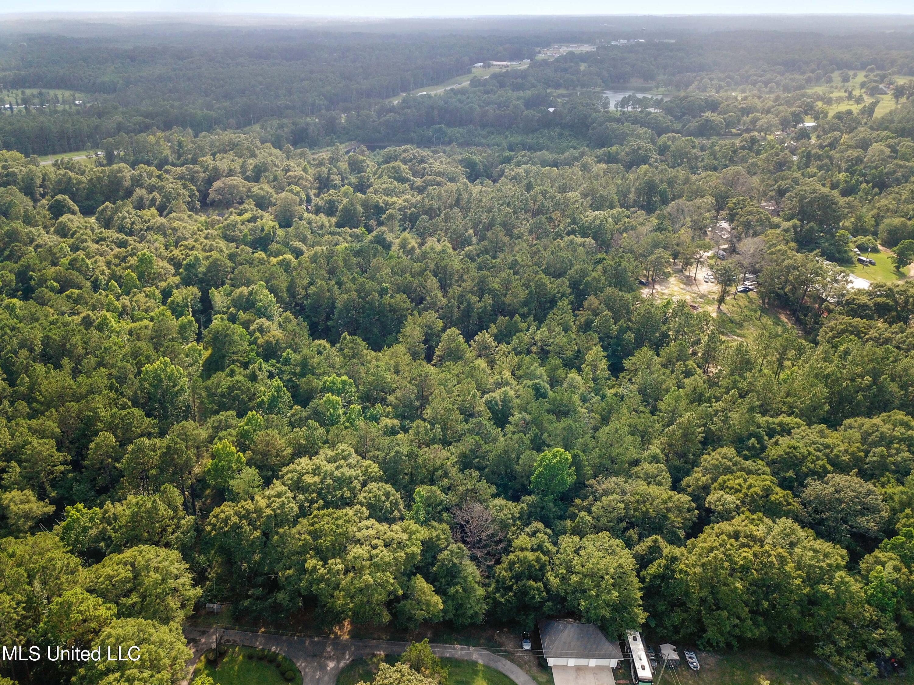 Tbd Old Mobile Highway Property Photo 7