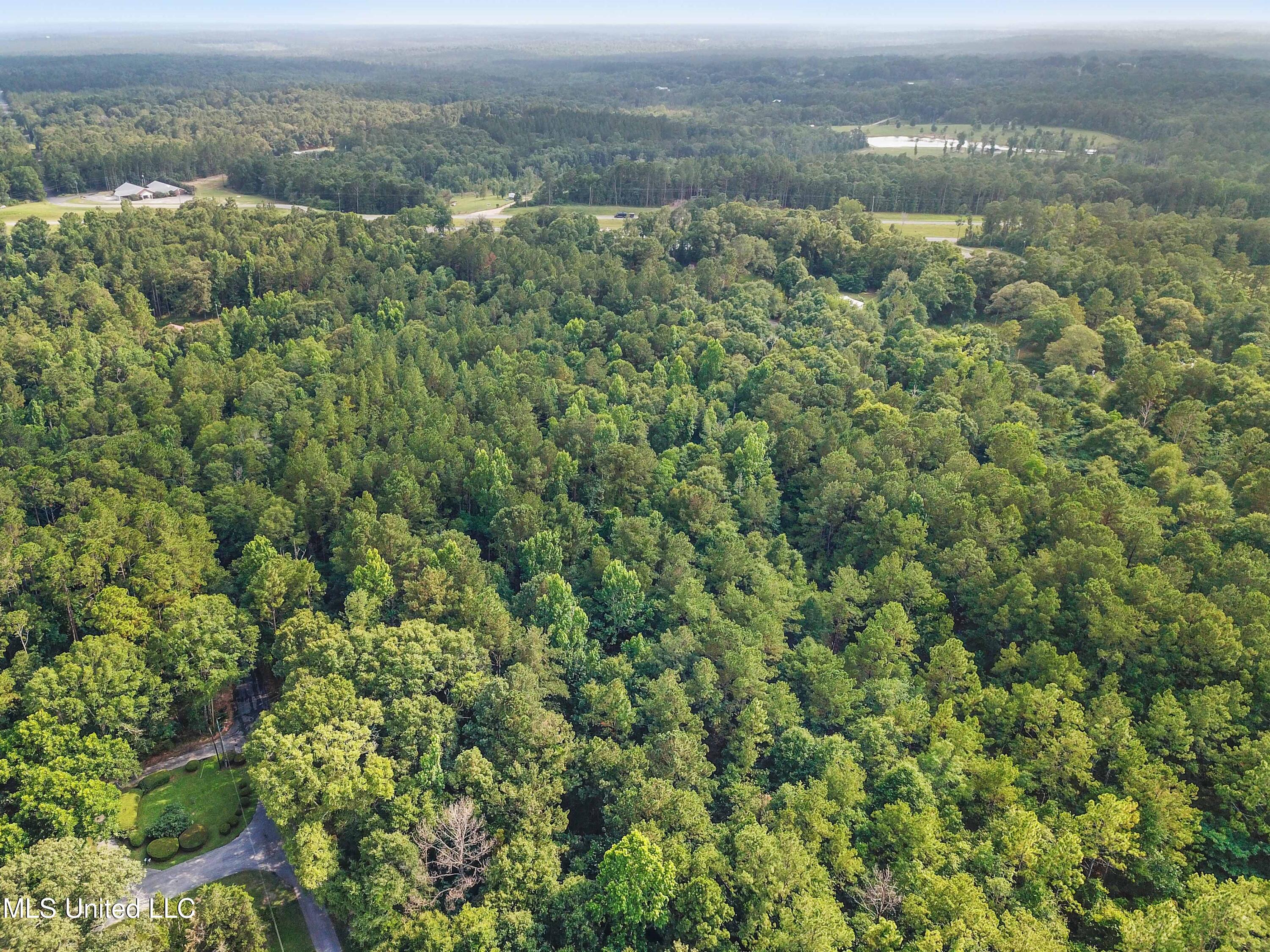 Tbd Old Mobile Highway Property Photo 8