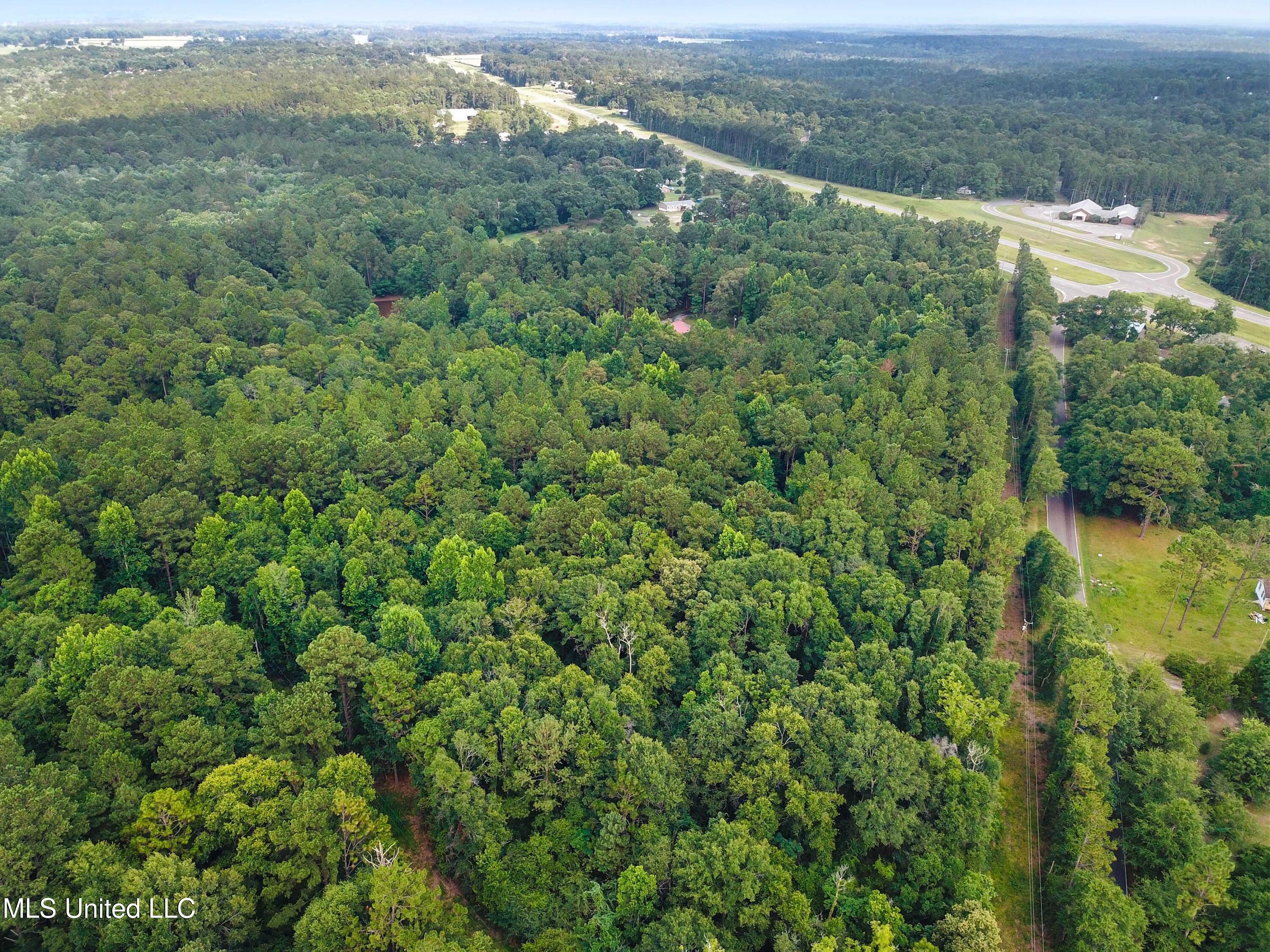 Tbd Old Mobile Highway Property Photo 9