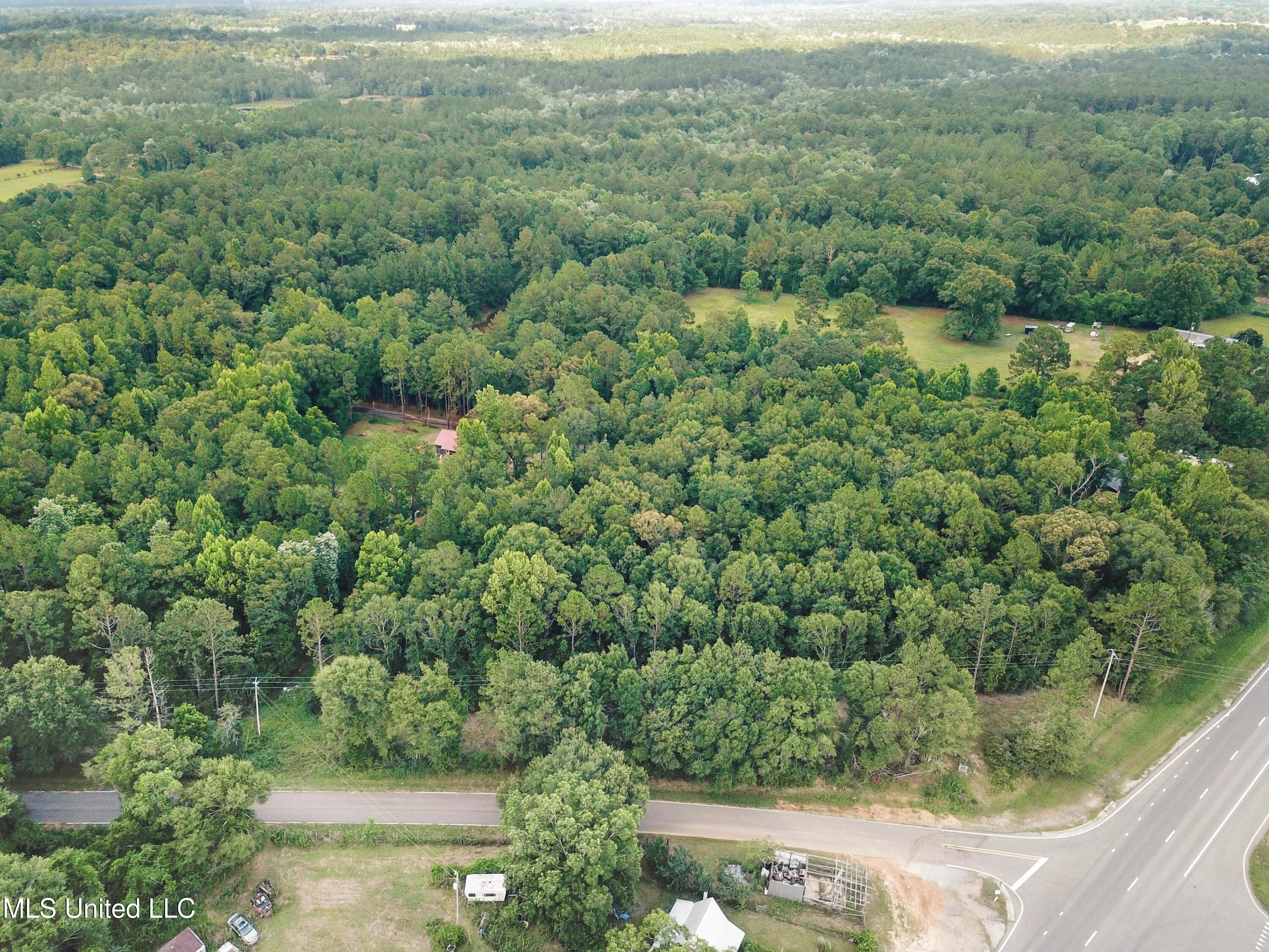 Tbd Old Mobile Highway Property Photo 12