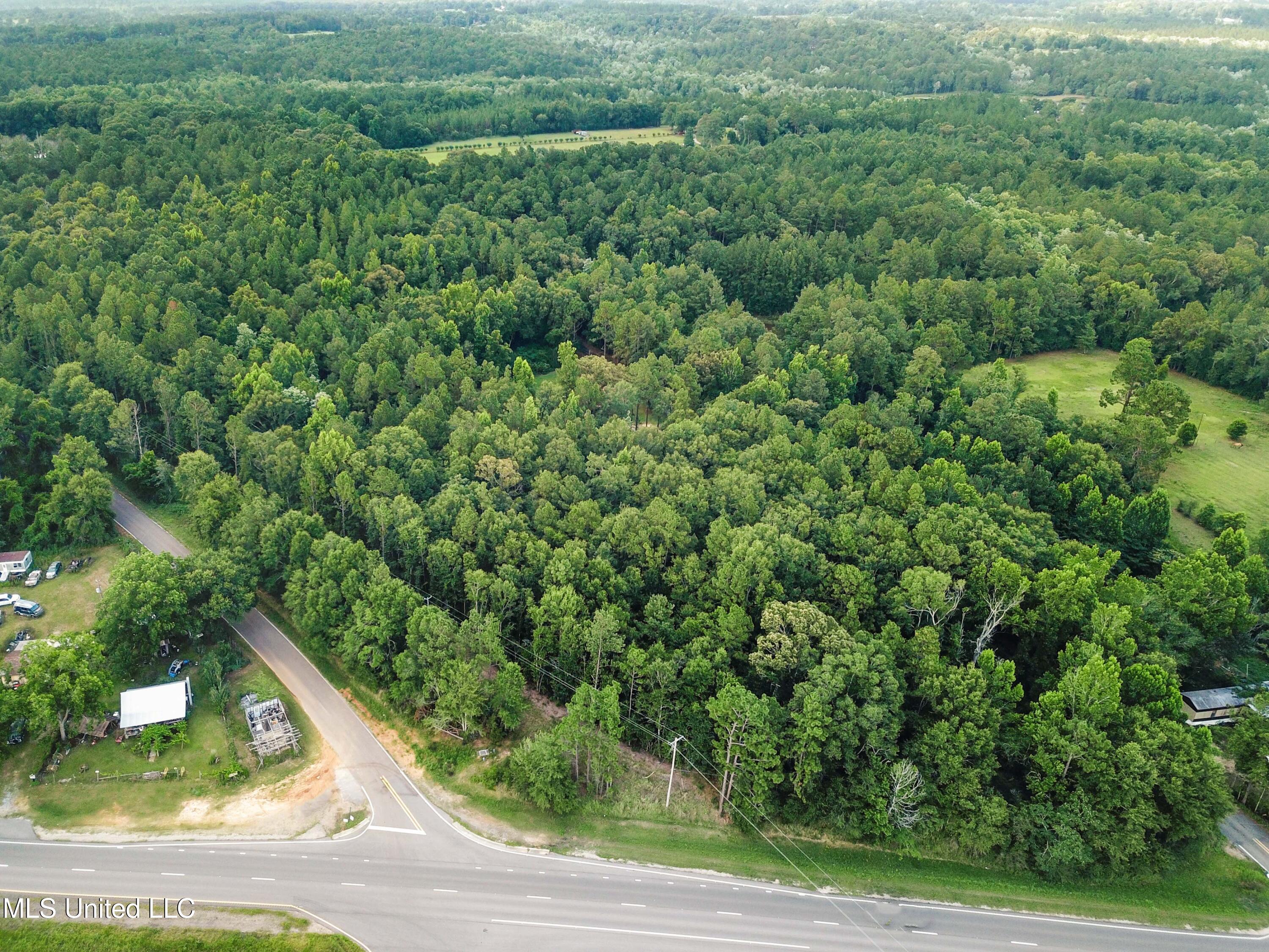 Tbd Old Mobile Highway Property Photo 13