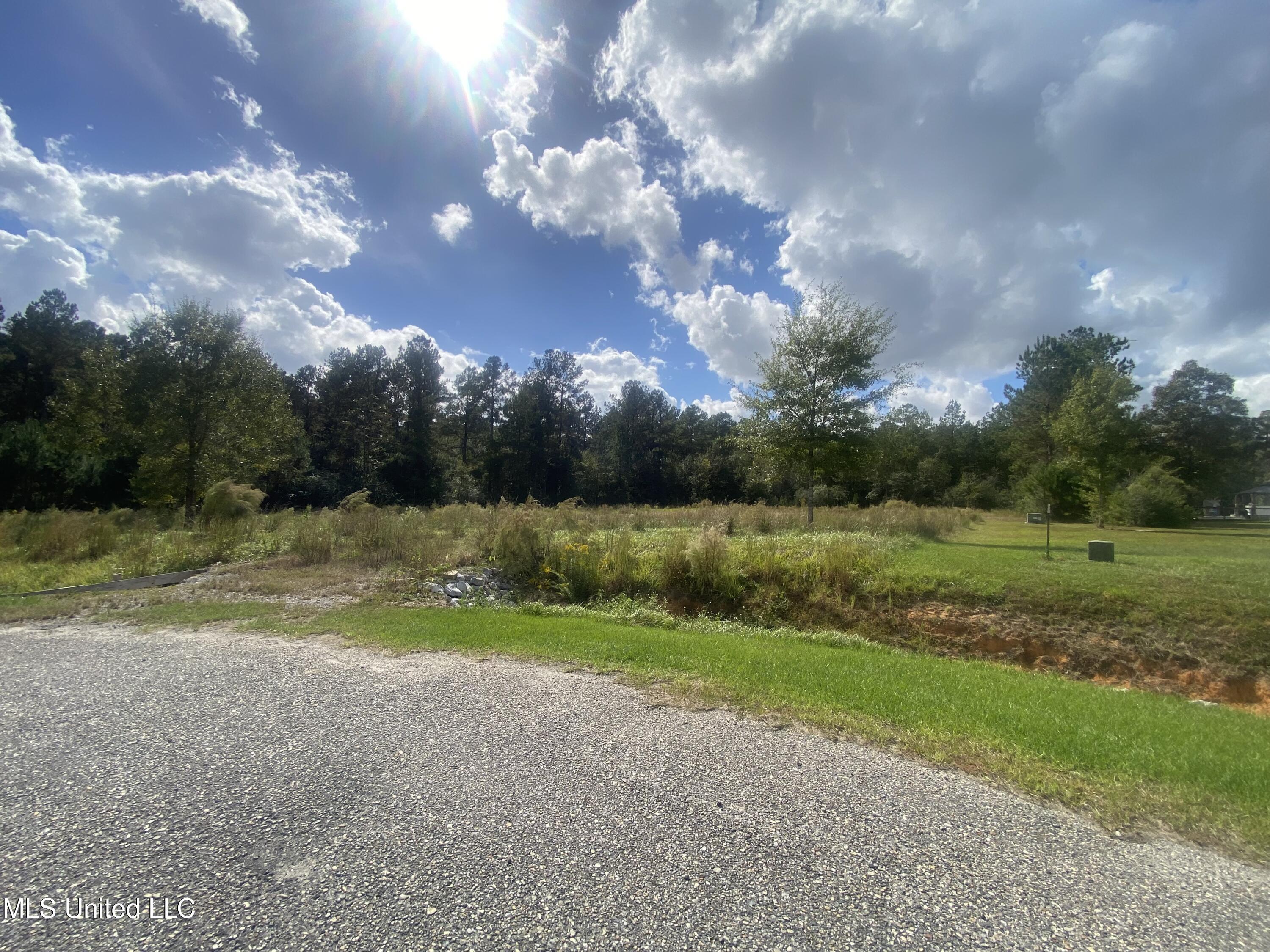 0 Bobcat Trail Property Photo 2