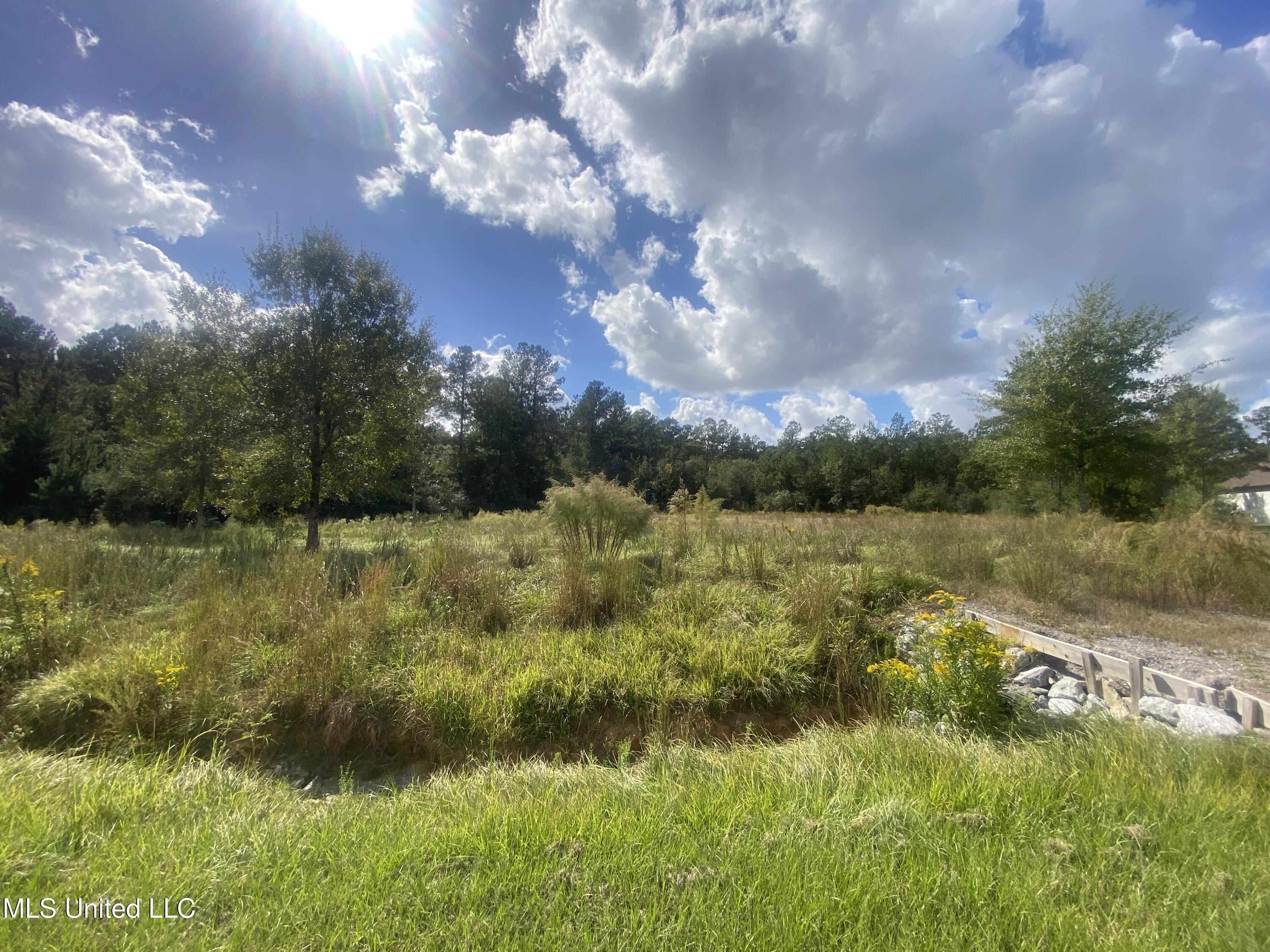 0 Bobcat Trail Property Photo 3