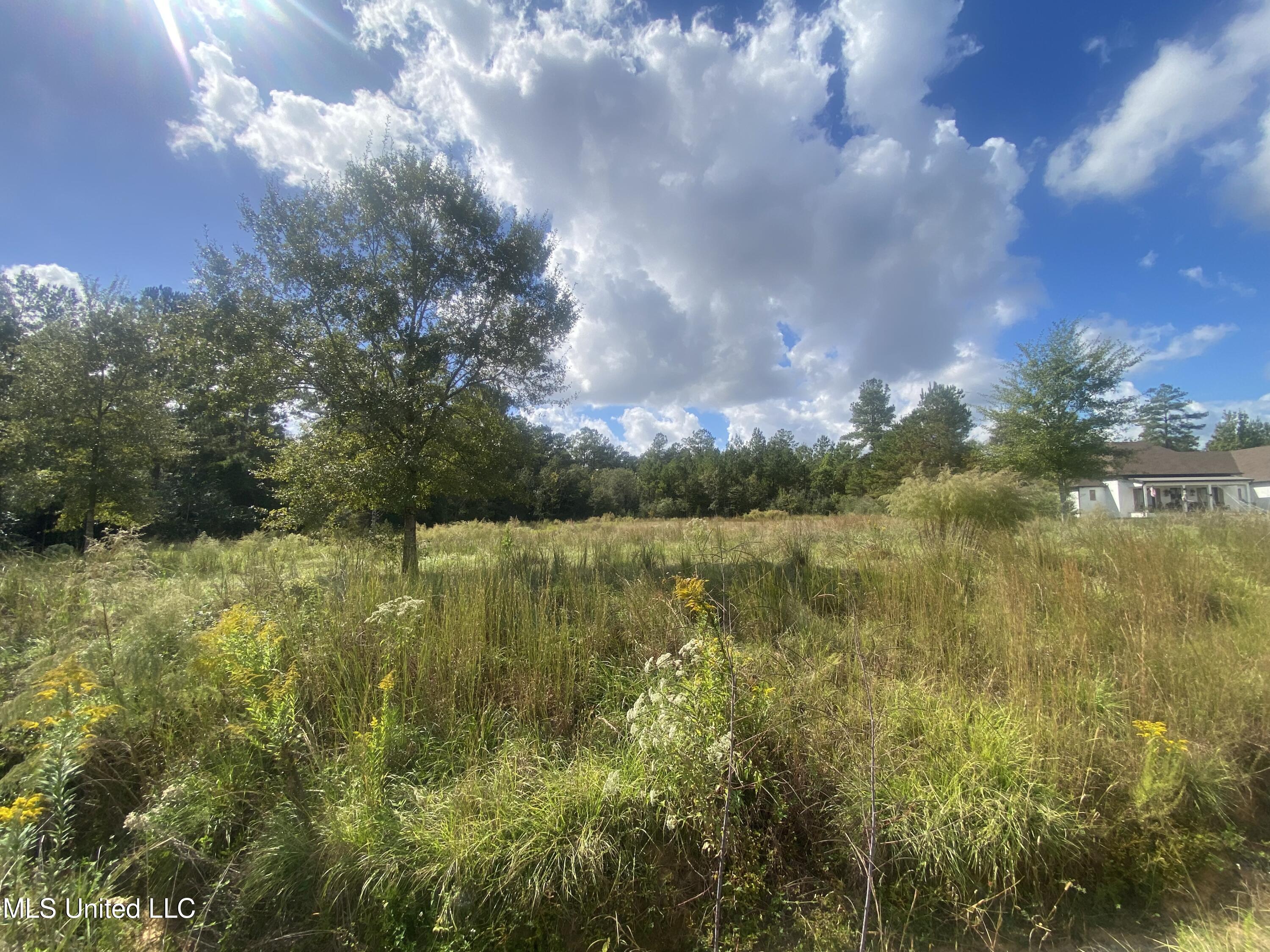 0 Bobcat Trail Property Photo 4