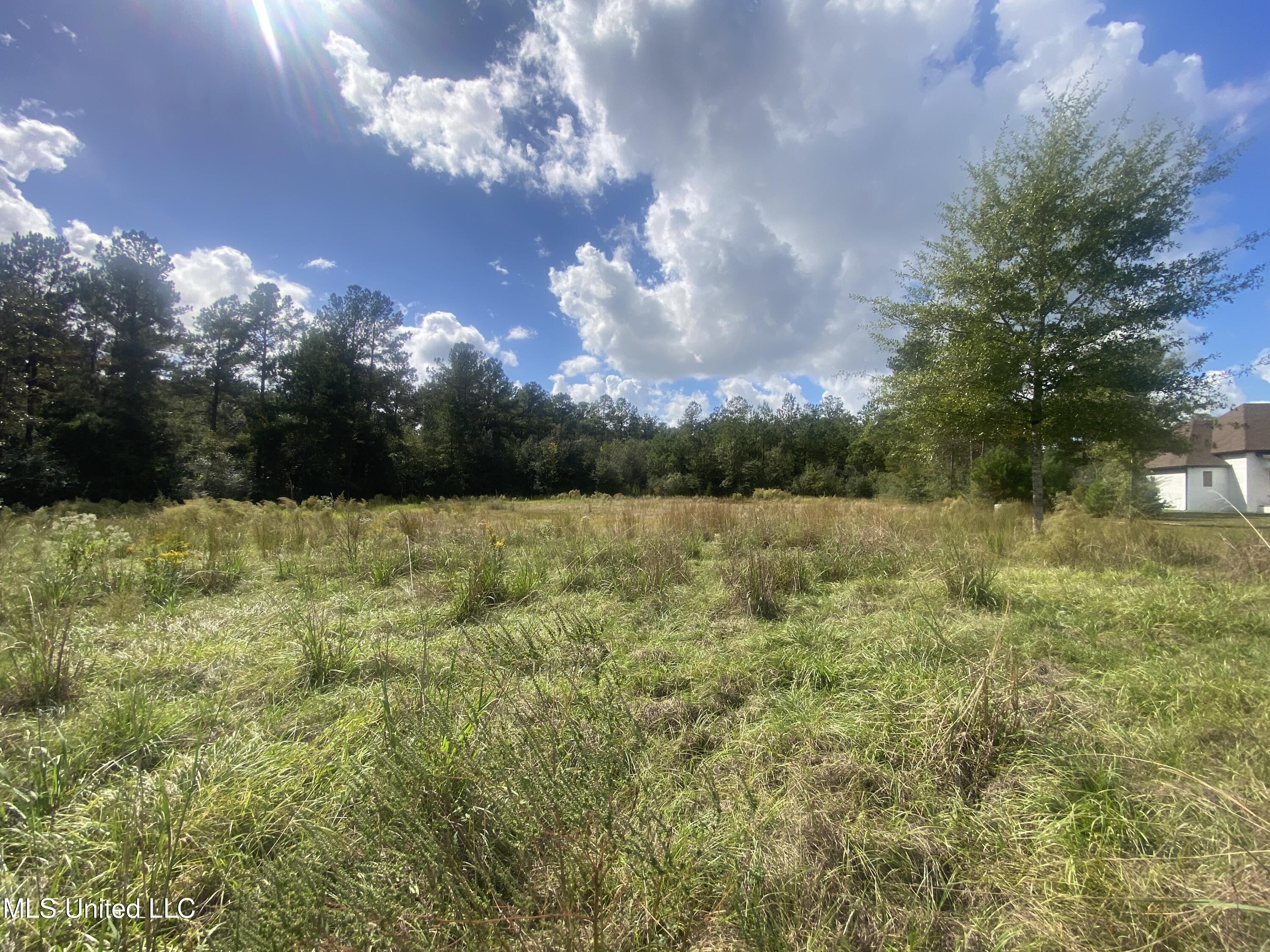 0 Bobcat Trail Property Photo 5