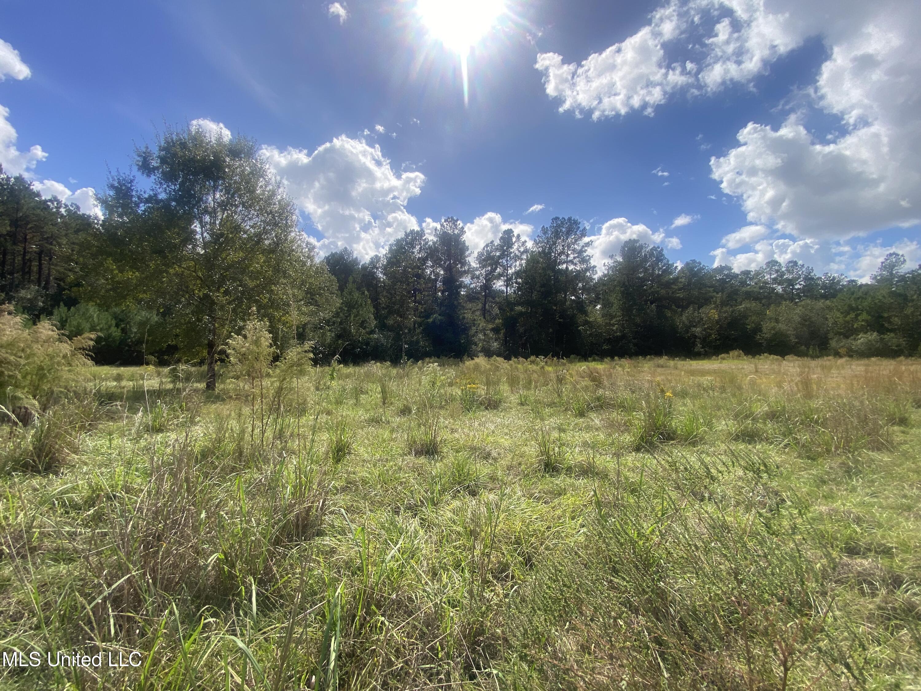 0 Bobcat Trail Property Photo 6