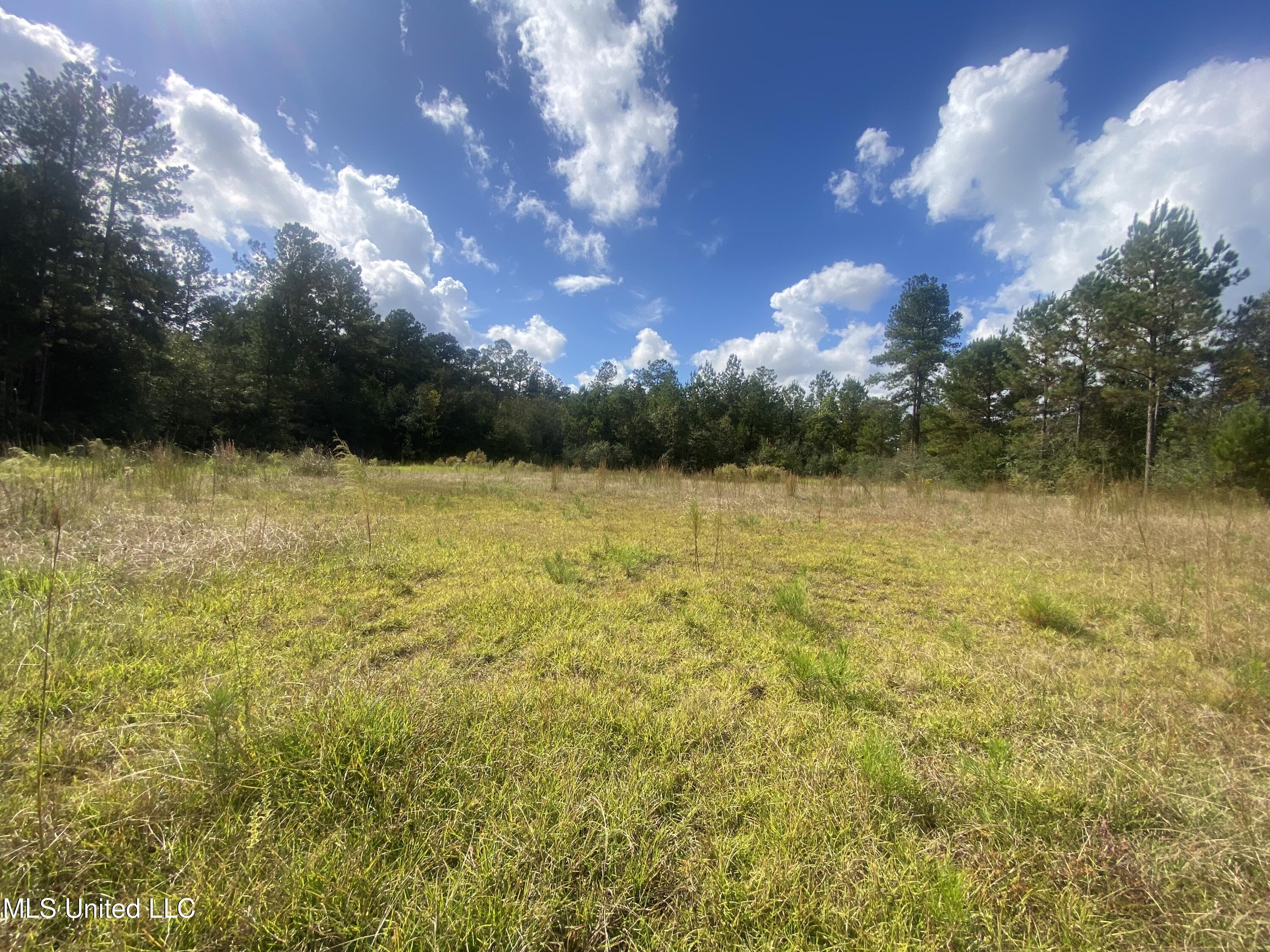 0 Bobcat Trail Property Photo 8