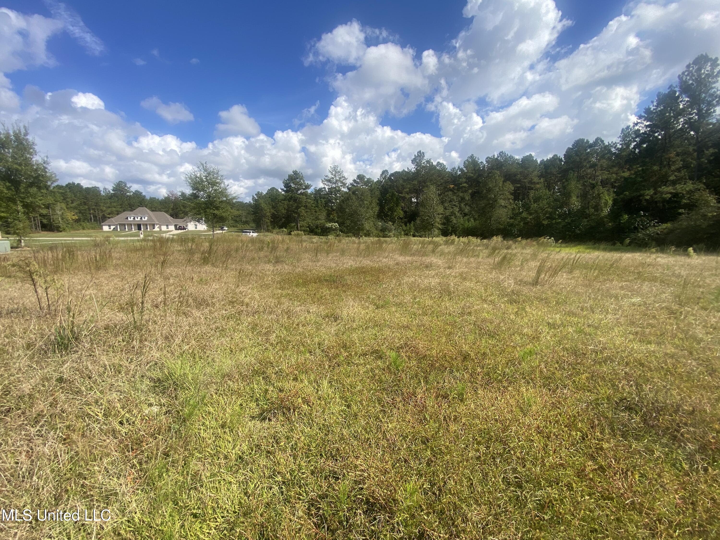 0 Bobcat Trail Property Photo 9