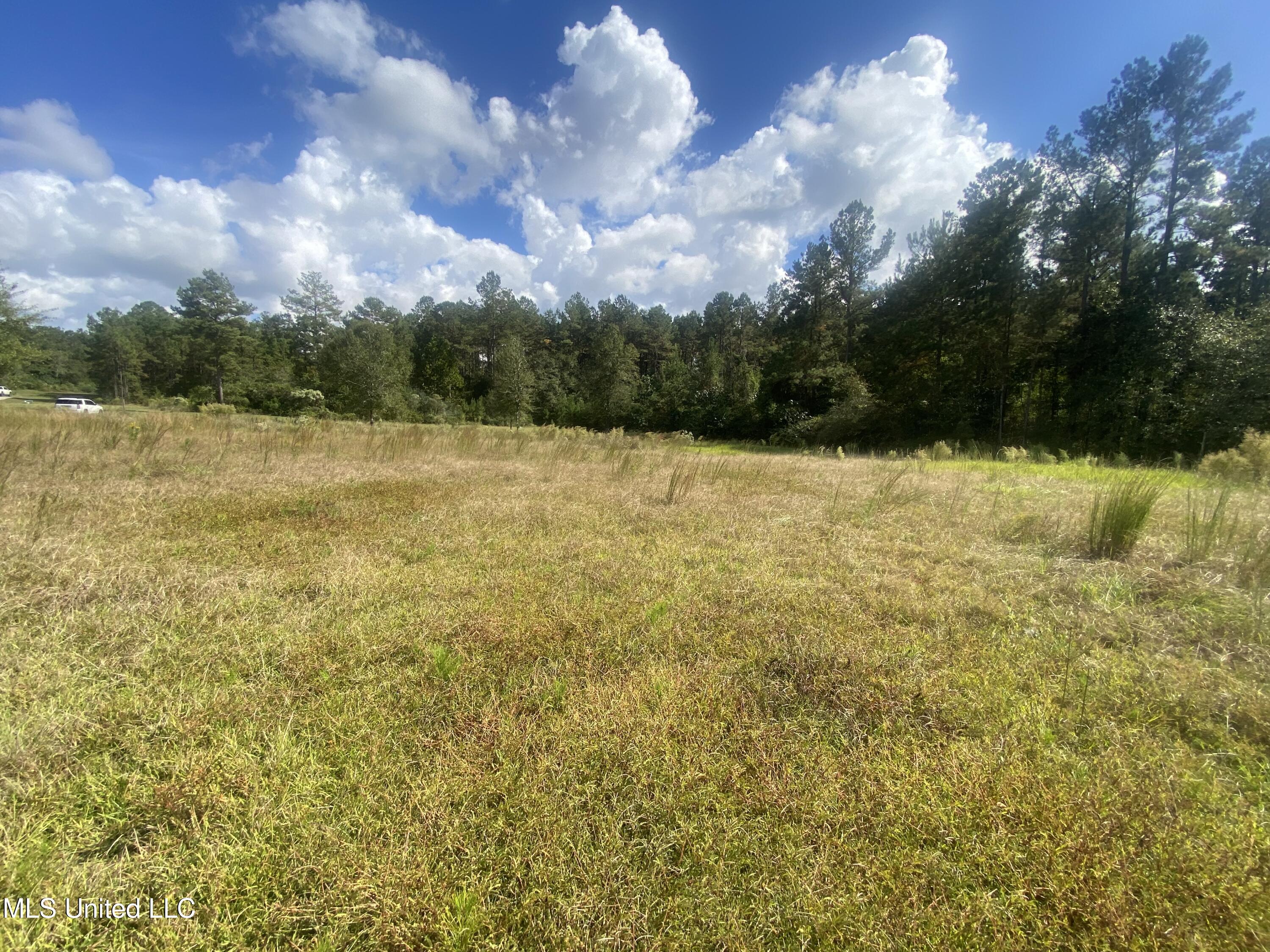 0 Bobcat Trail Property Photo 10