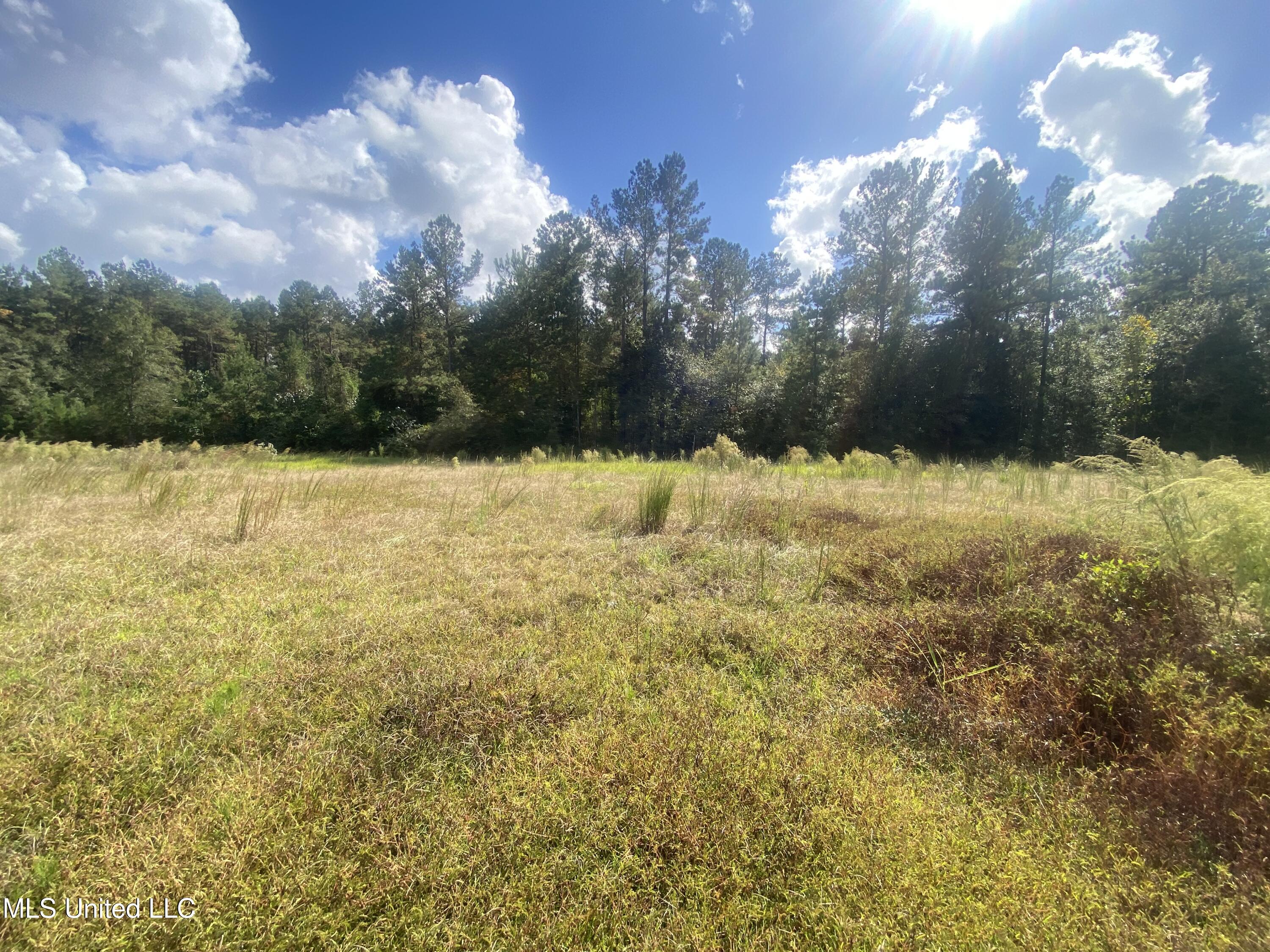 0 Bobcat Trail Property Photo 11