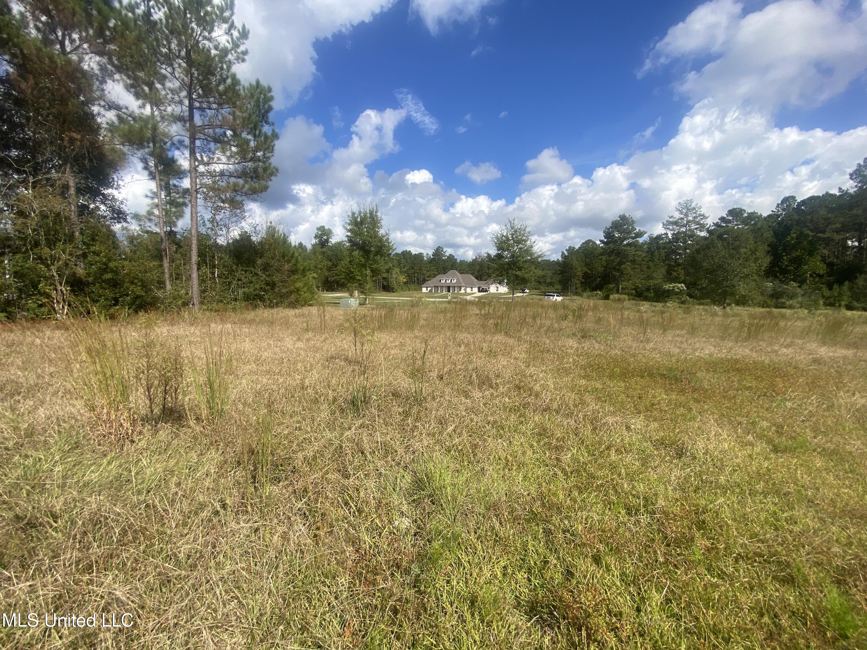 0 Bobcat Trail Property Photo 12