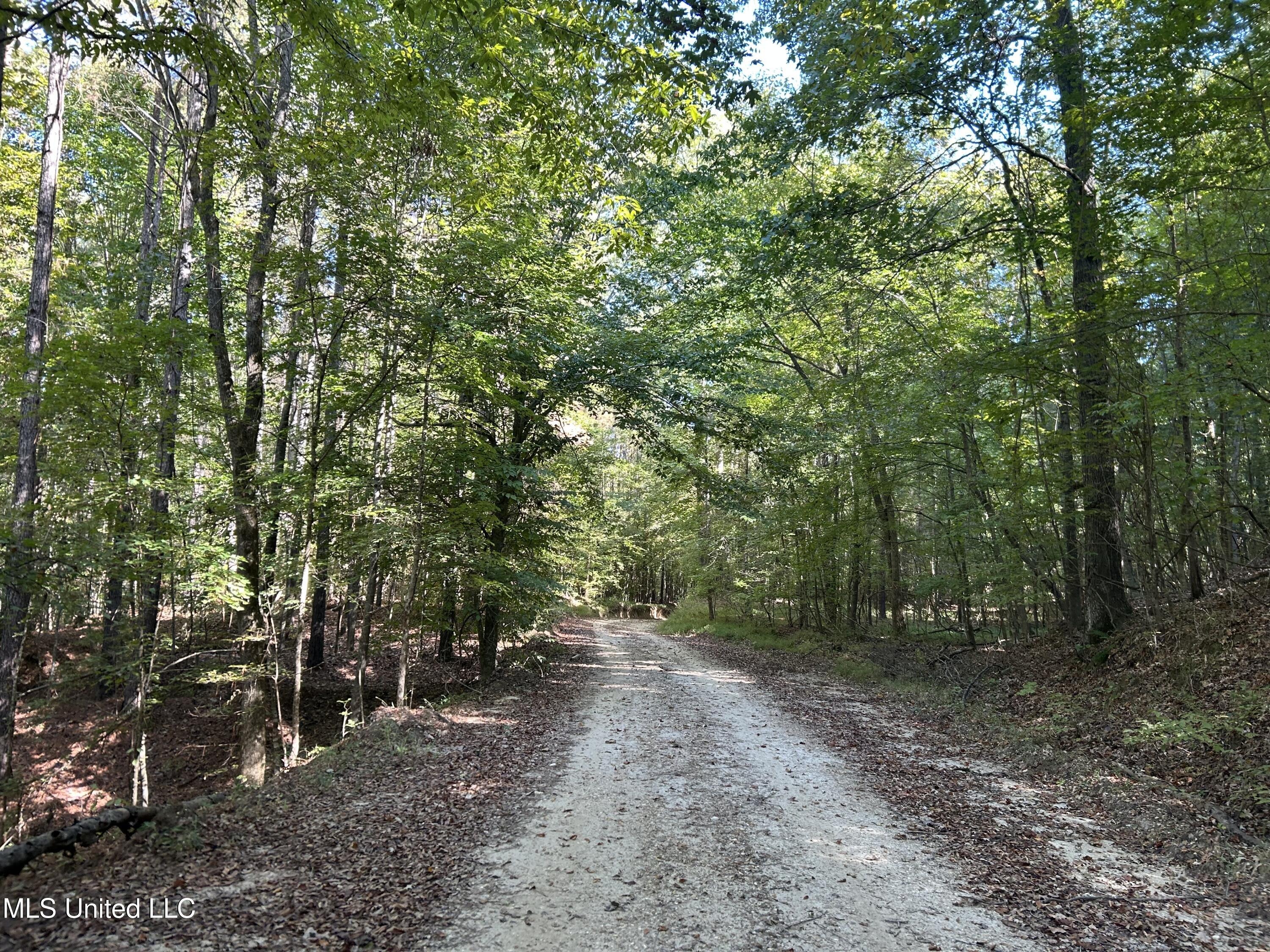 Perry Creek Road Property Photo 1