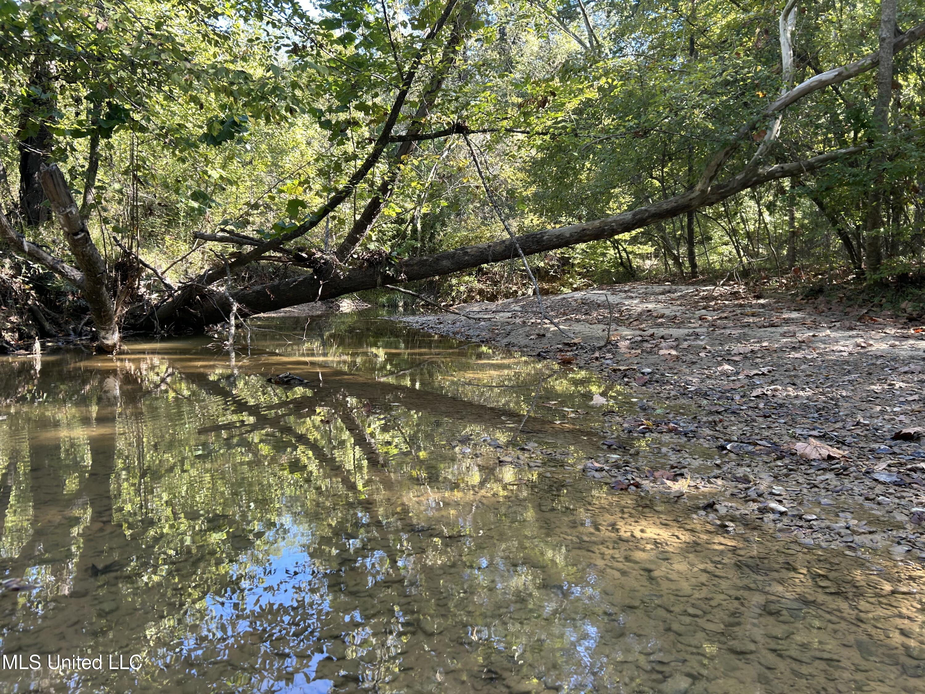 Perry Creek Road Property Photo 2