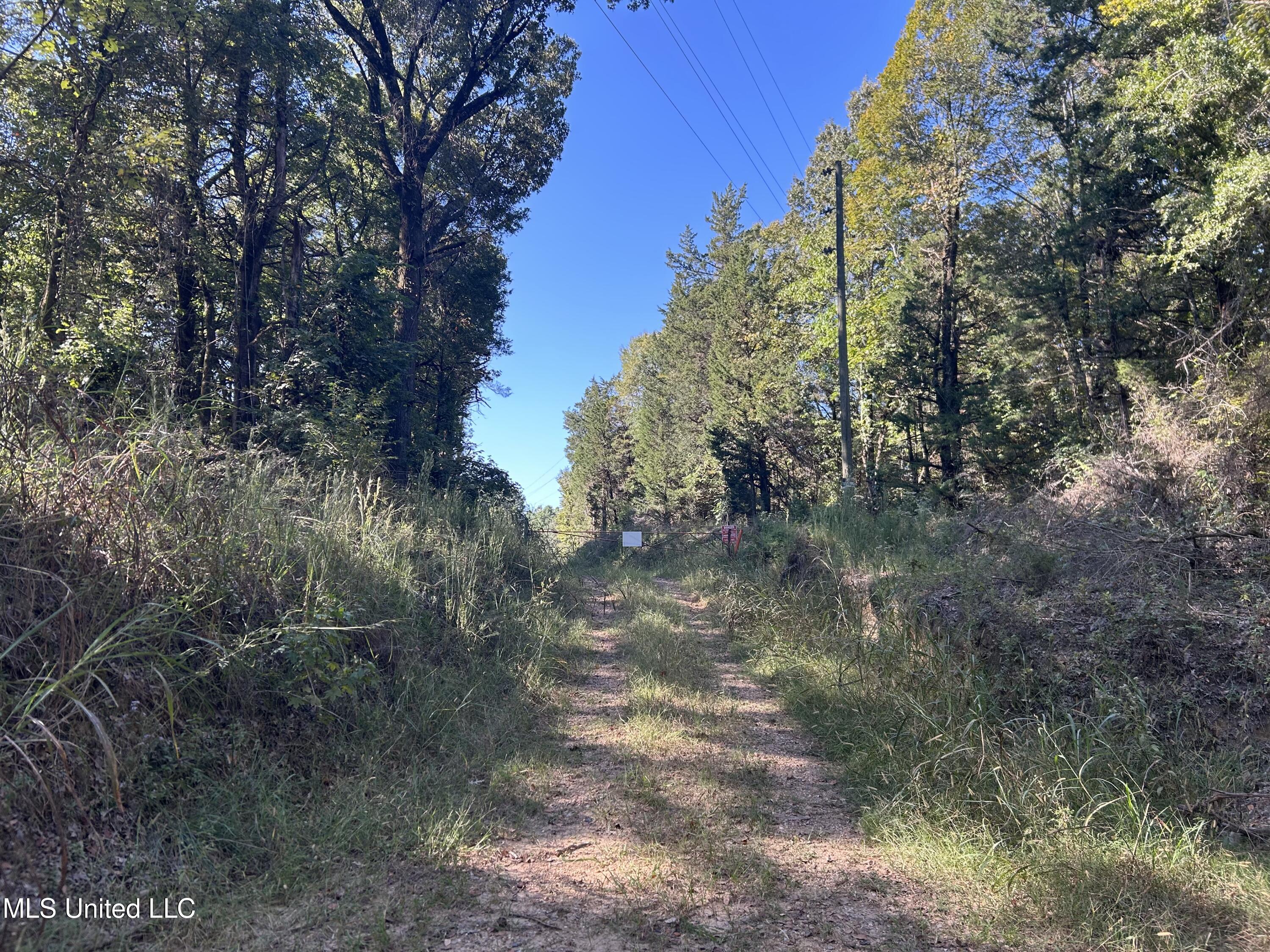 Perry Creek Road Property Photo 3