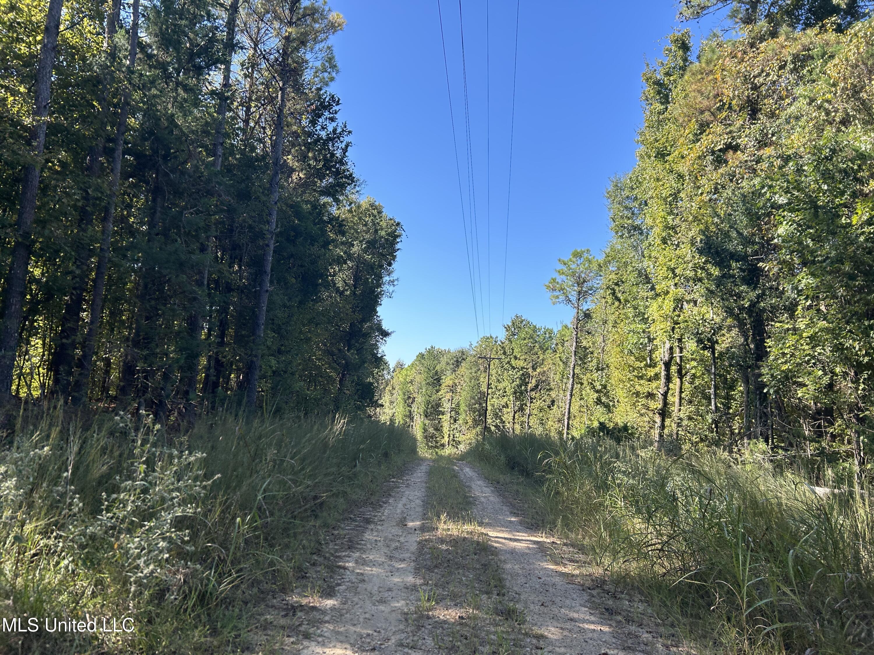 Perry Creek Road Property Photo 4