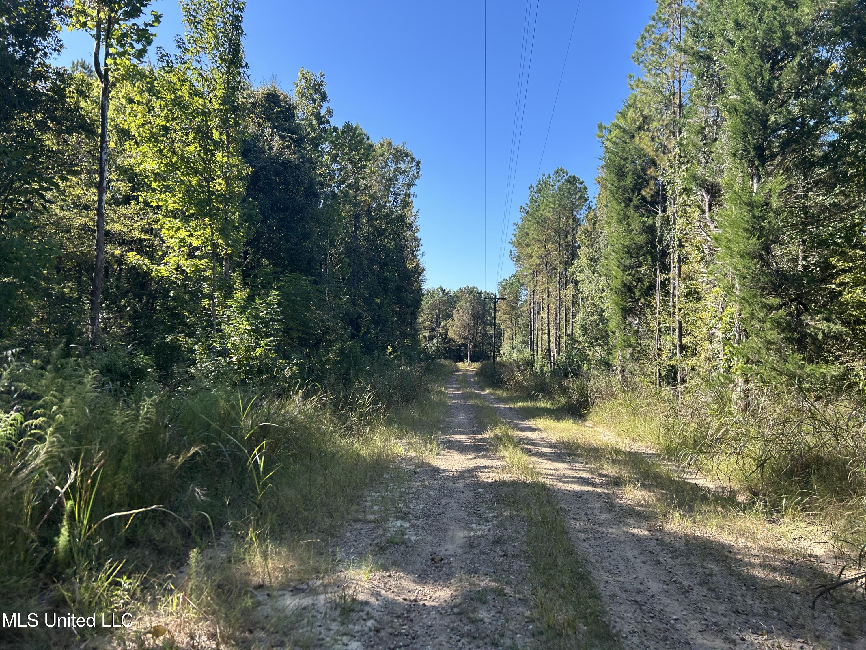Perry Creek Road Property Photo 5
