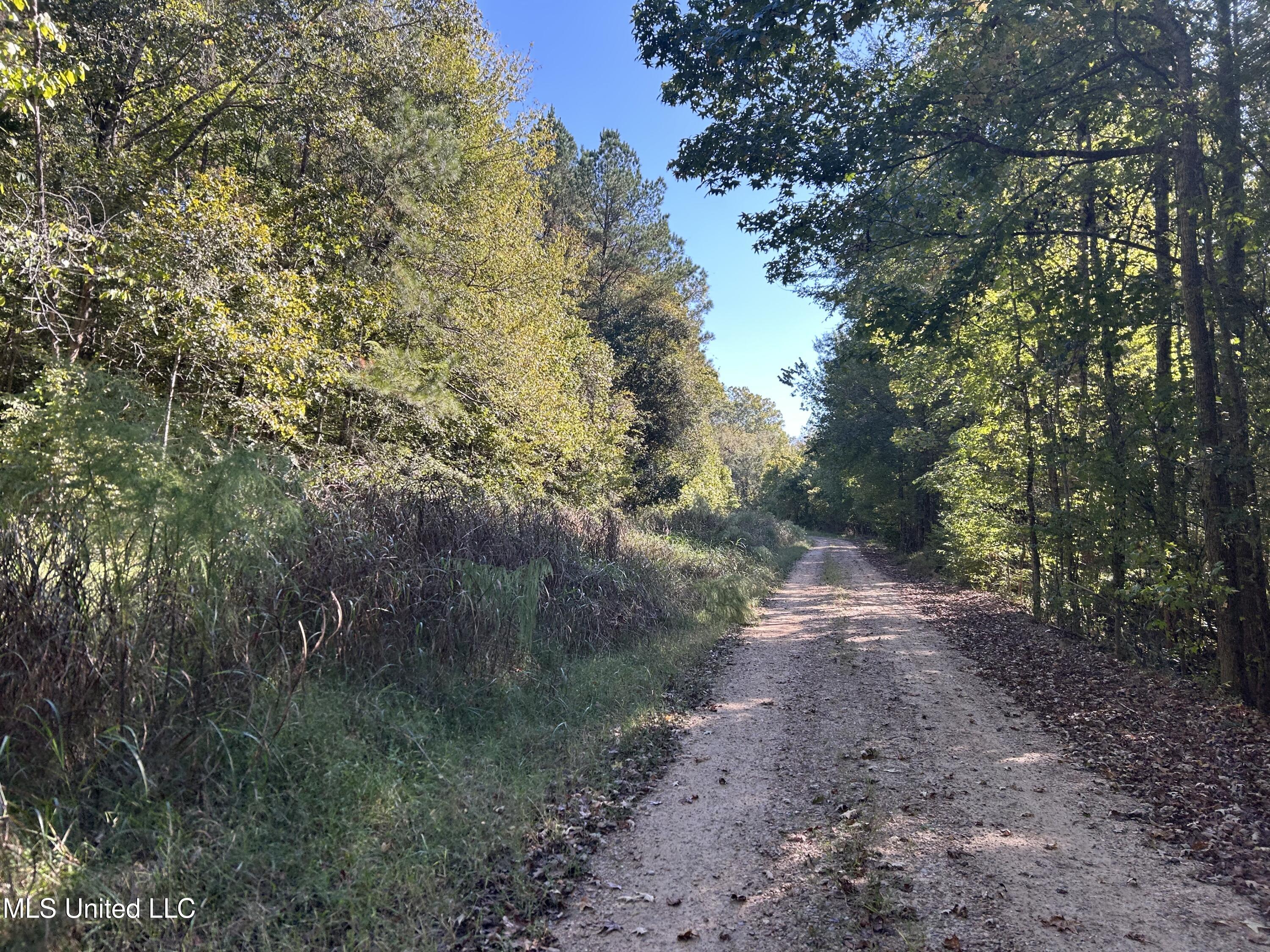 Perry Creek Road Property Photo 6