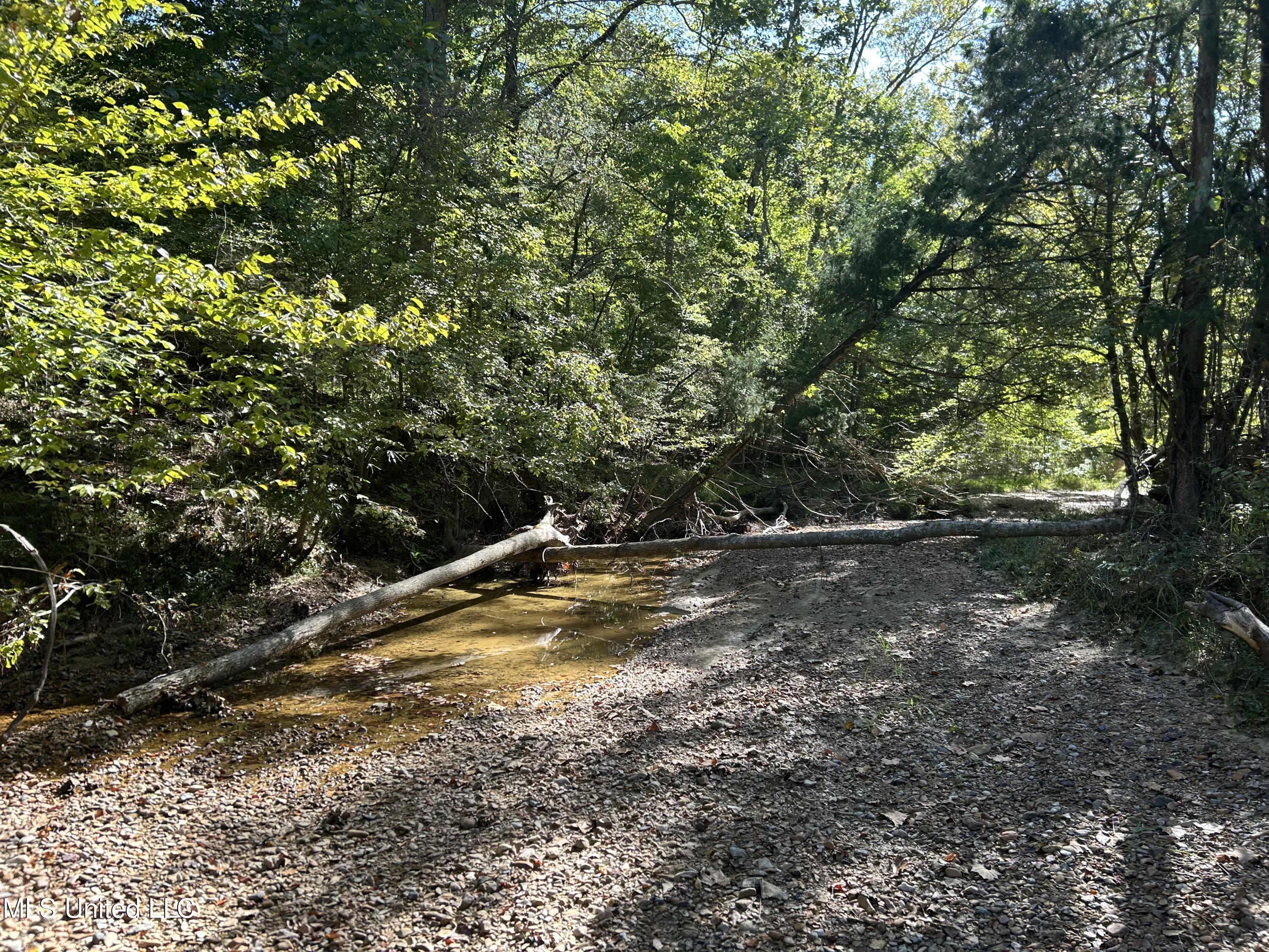 Perry Creek Road Property Photo 7