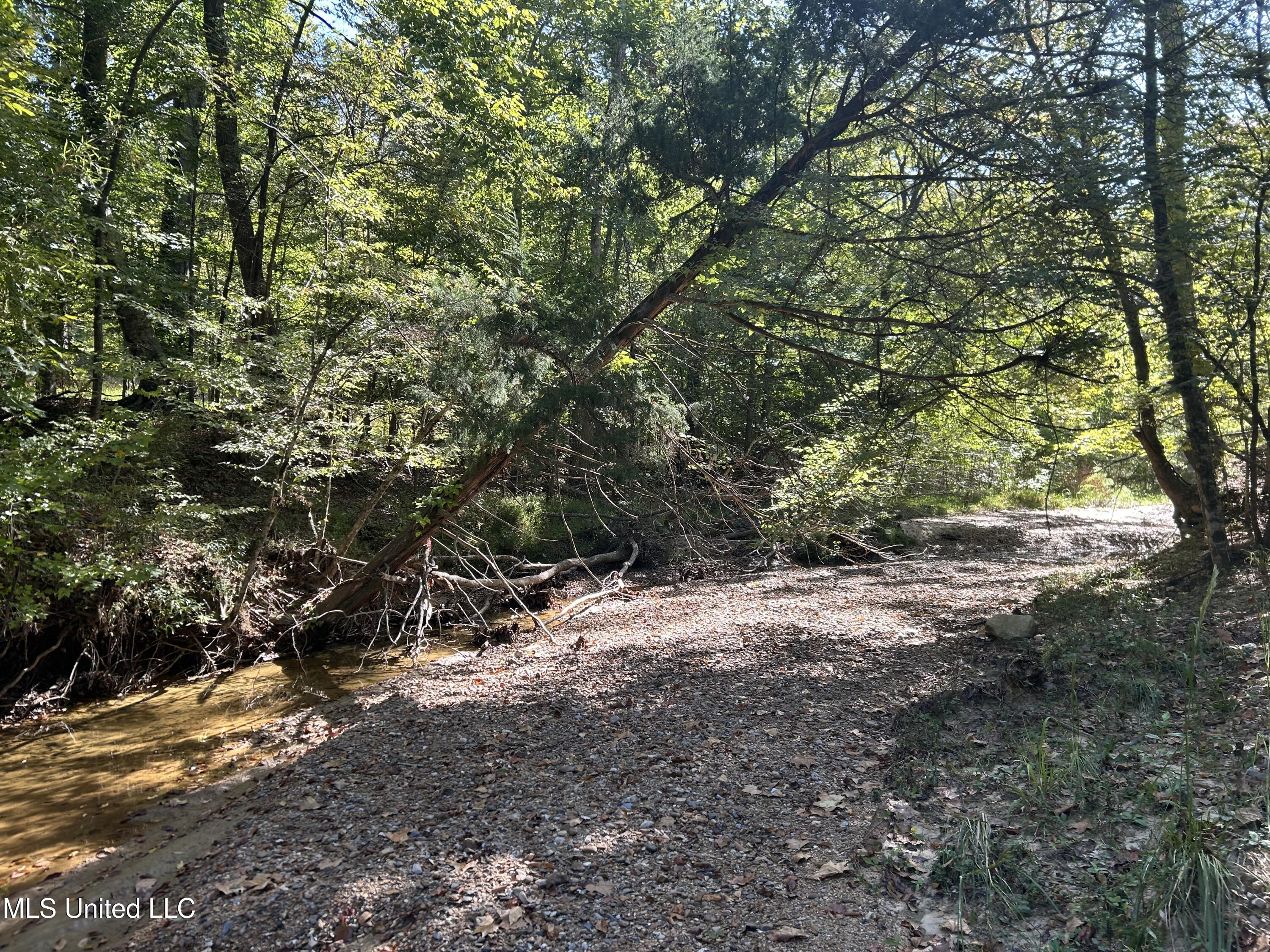 Perry Creek Road Property Photo 8