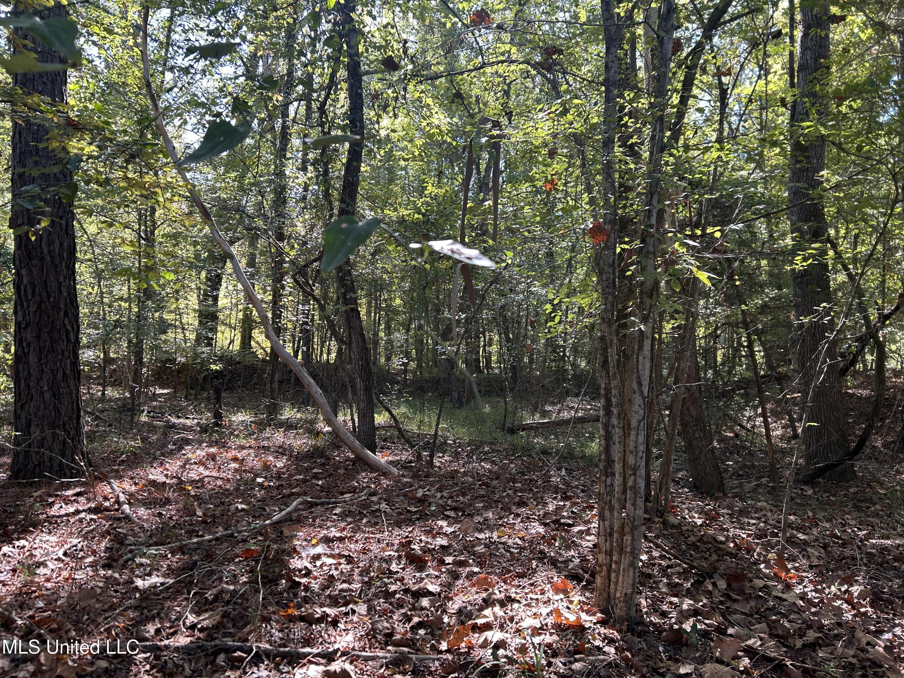 Perry Creek Road Property Photo 9