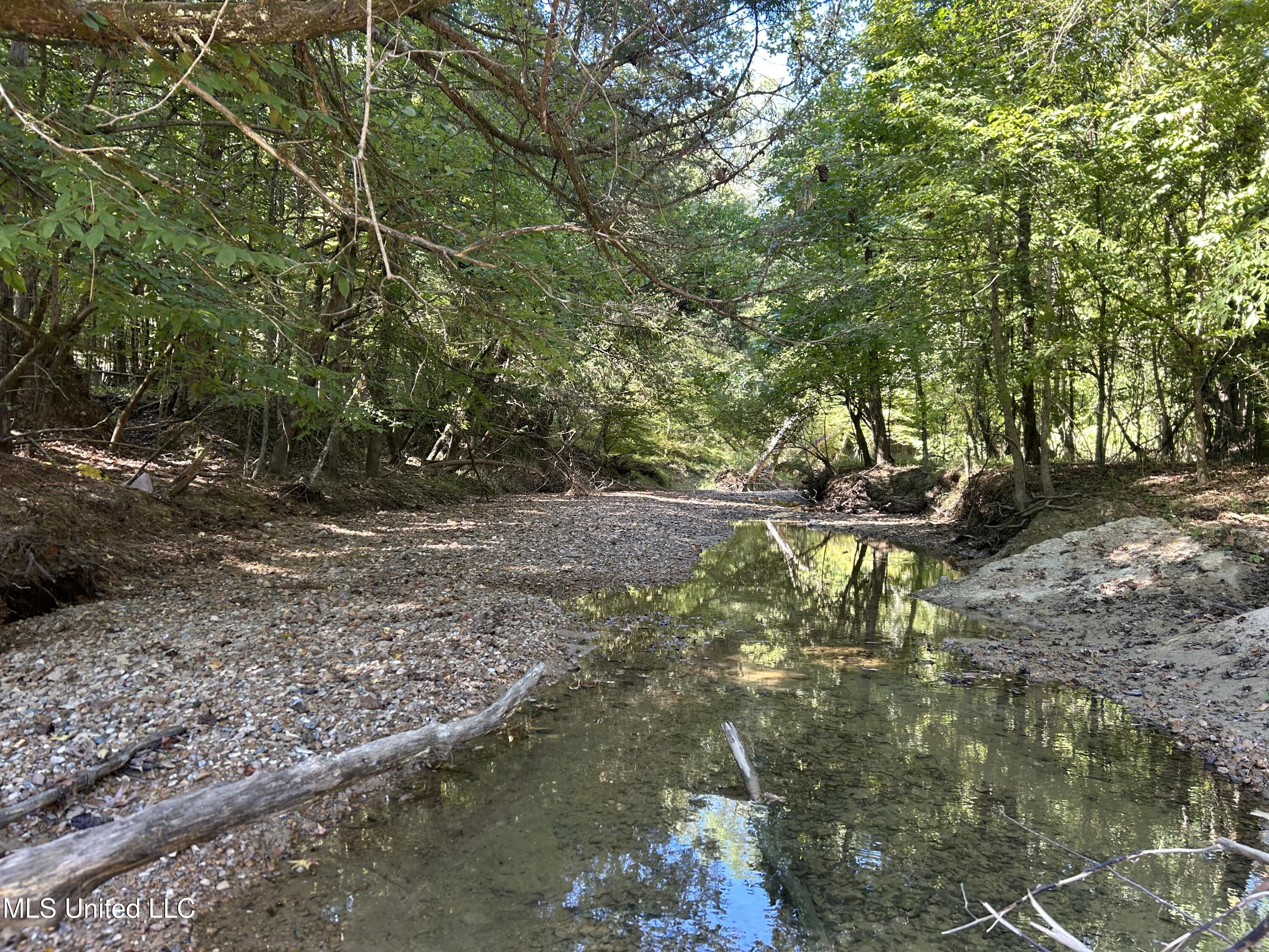 Perry Creek Road Property Photo 10