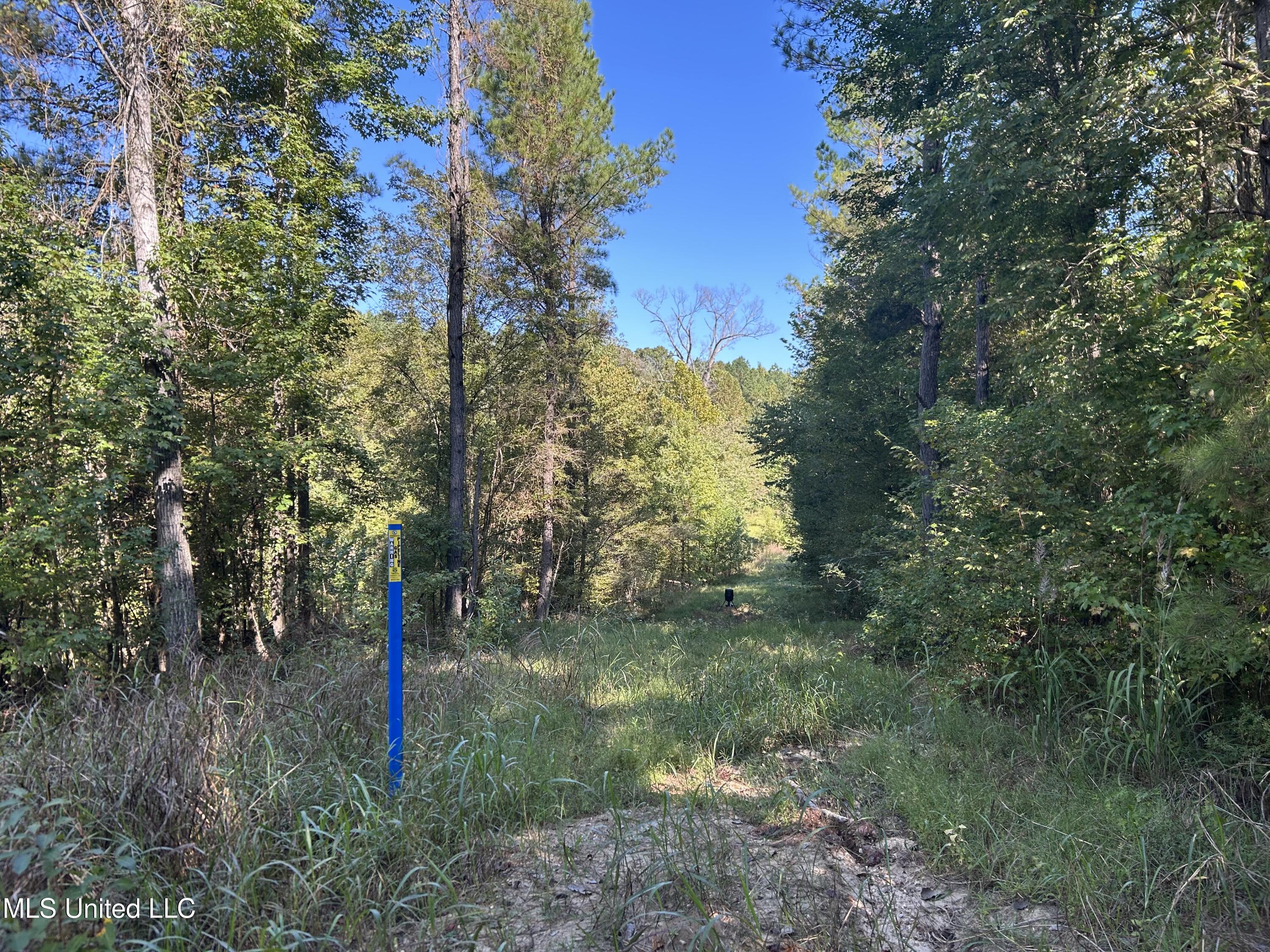 Perry Creek Road Property Photo 11