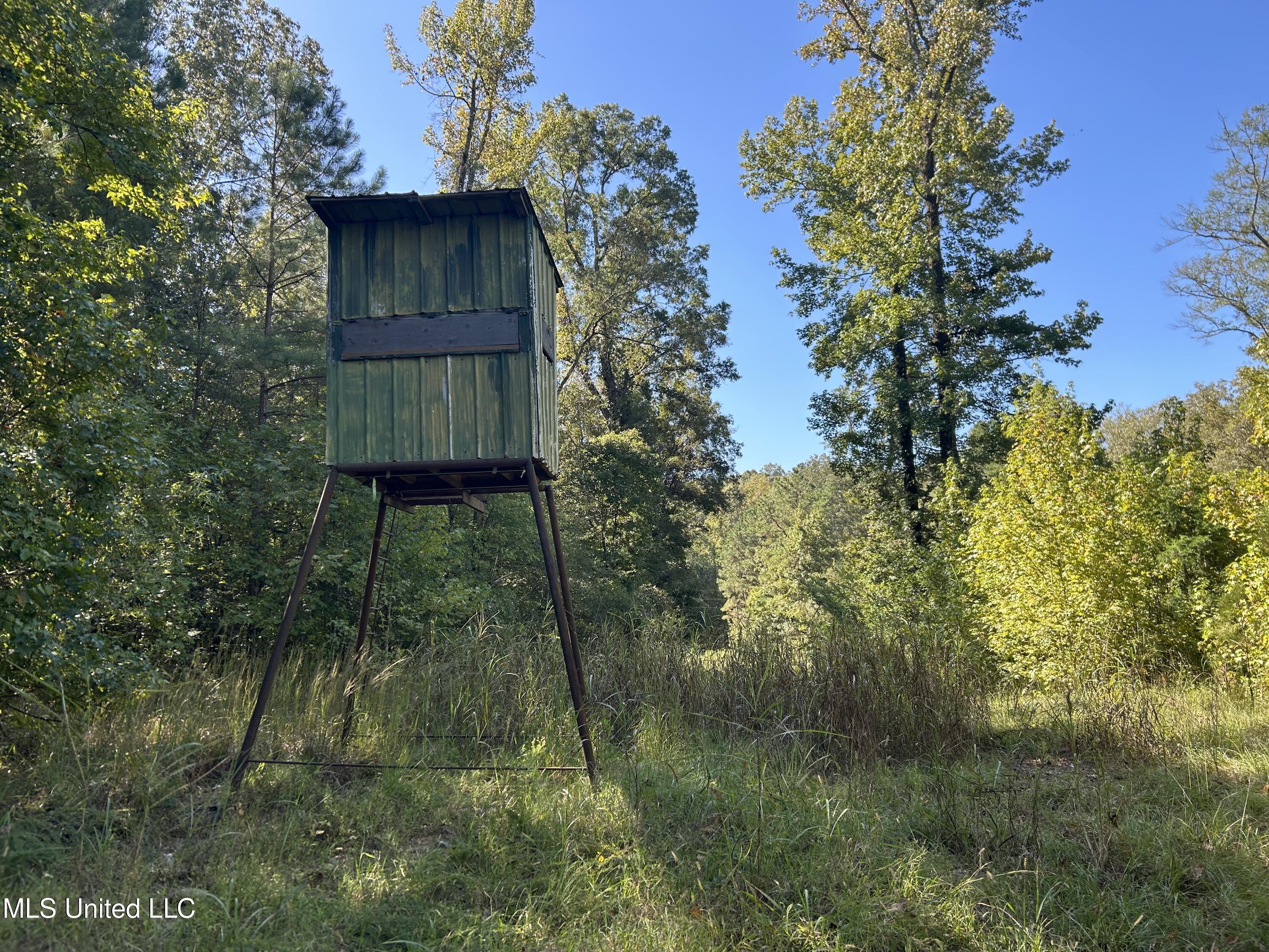 Perry Creek Road Property Photo 12