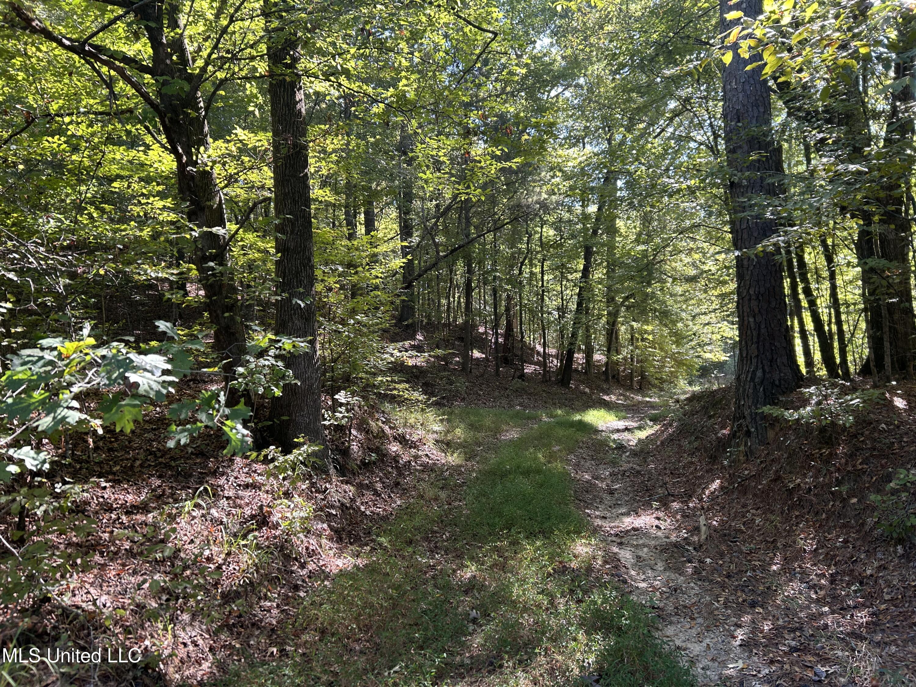 Perry Creek Road Property Photo 13