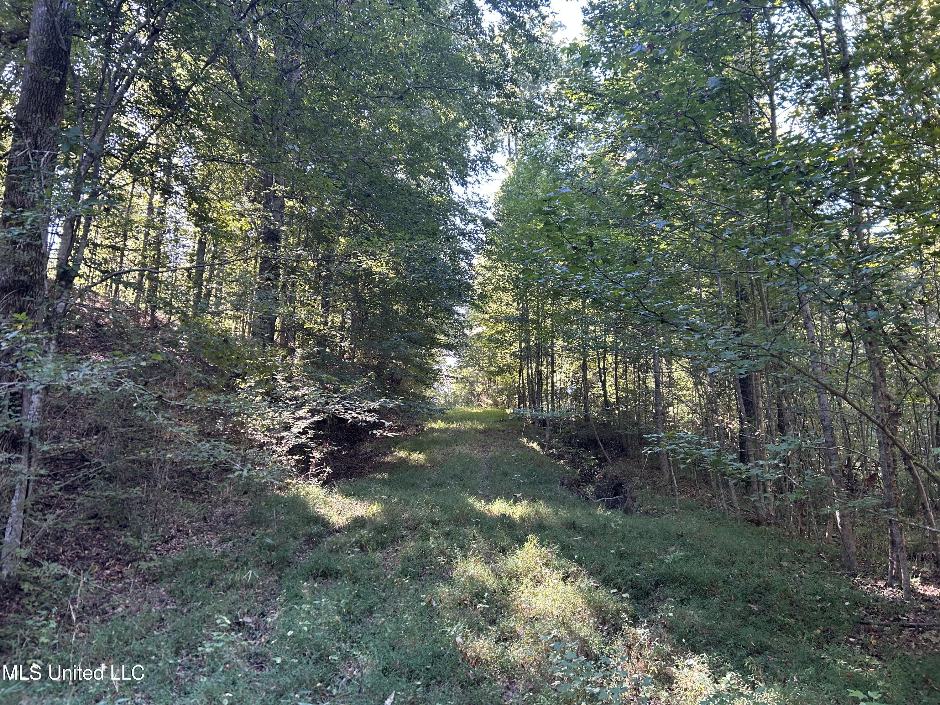 Perry Creek Road Property Photo 14