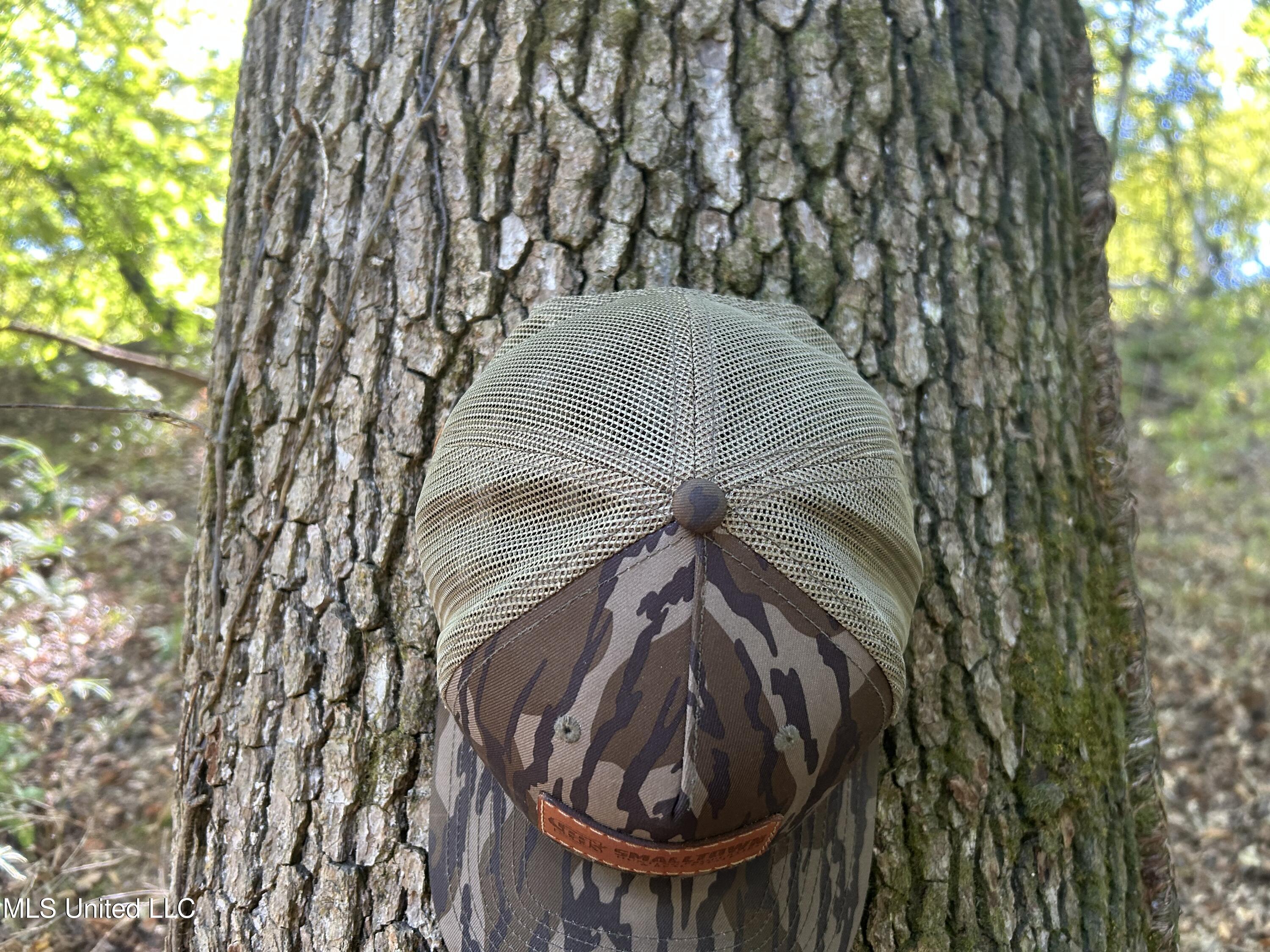 Perry Creek Road Property Photo 15