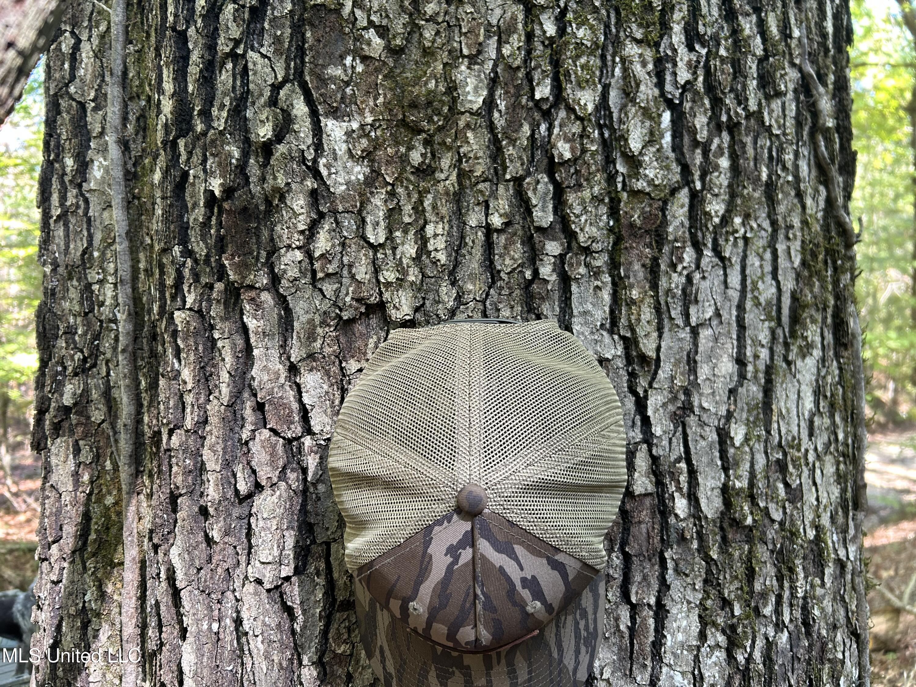 Perry Creek Road Property Photo 16