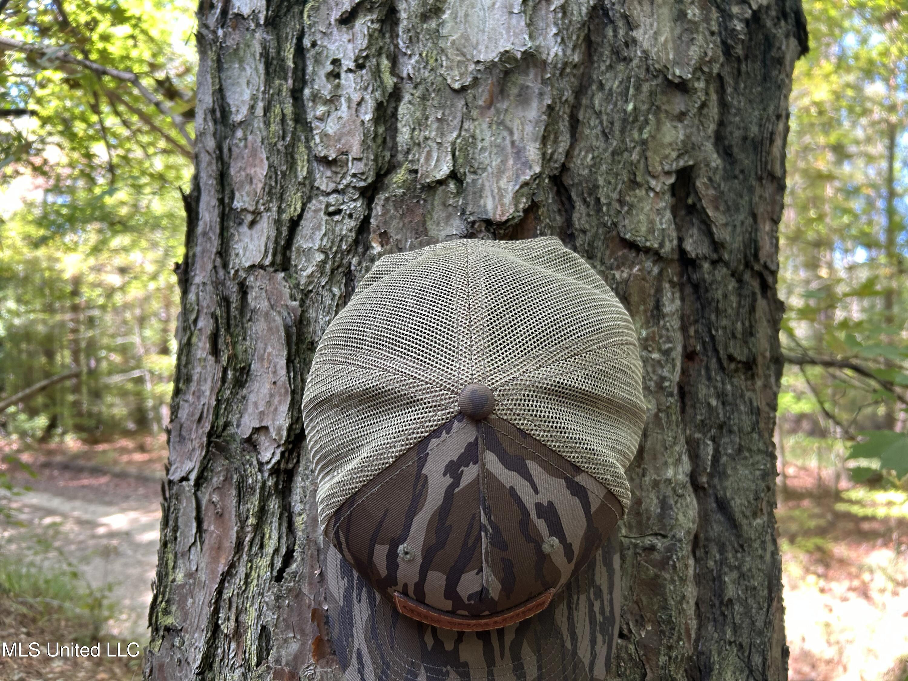 Perry Creek Road Property Photo 17