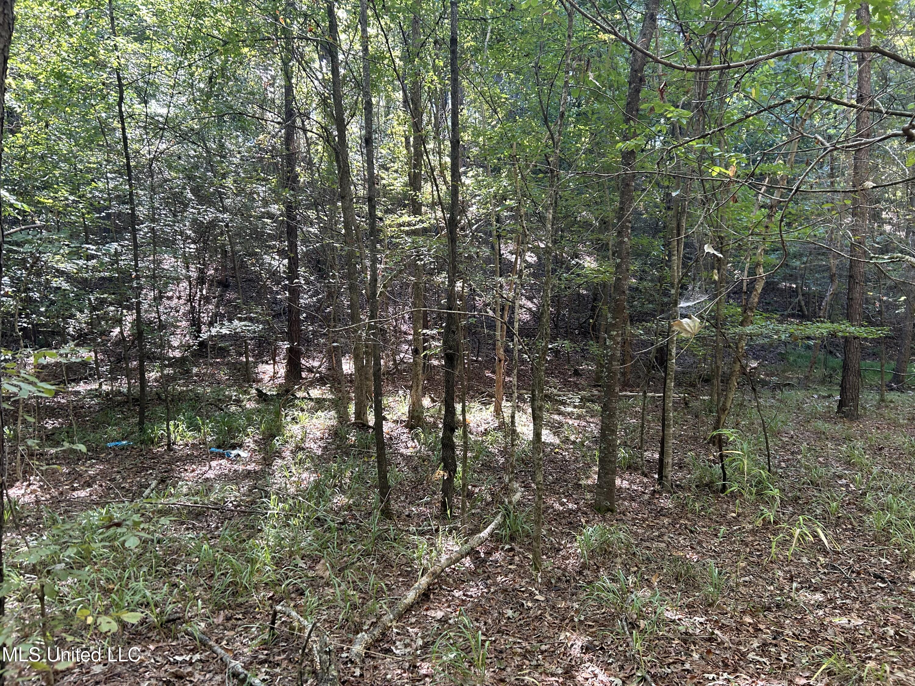 Perry Creek Road Property Photo 18