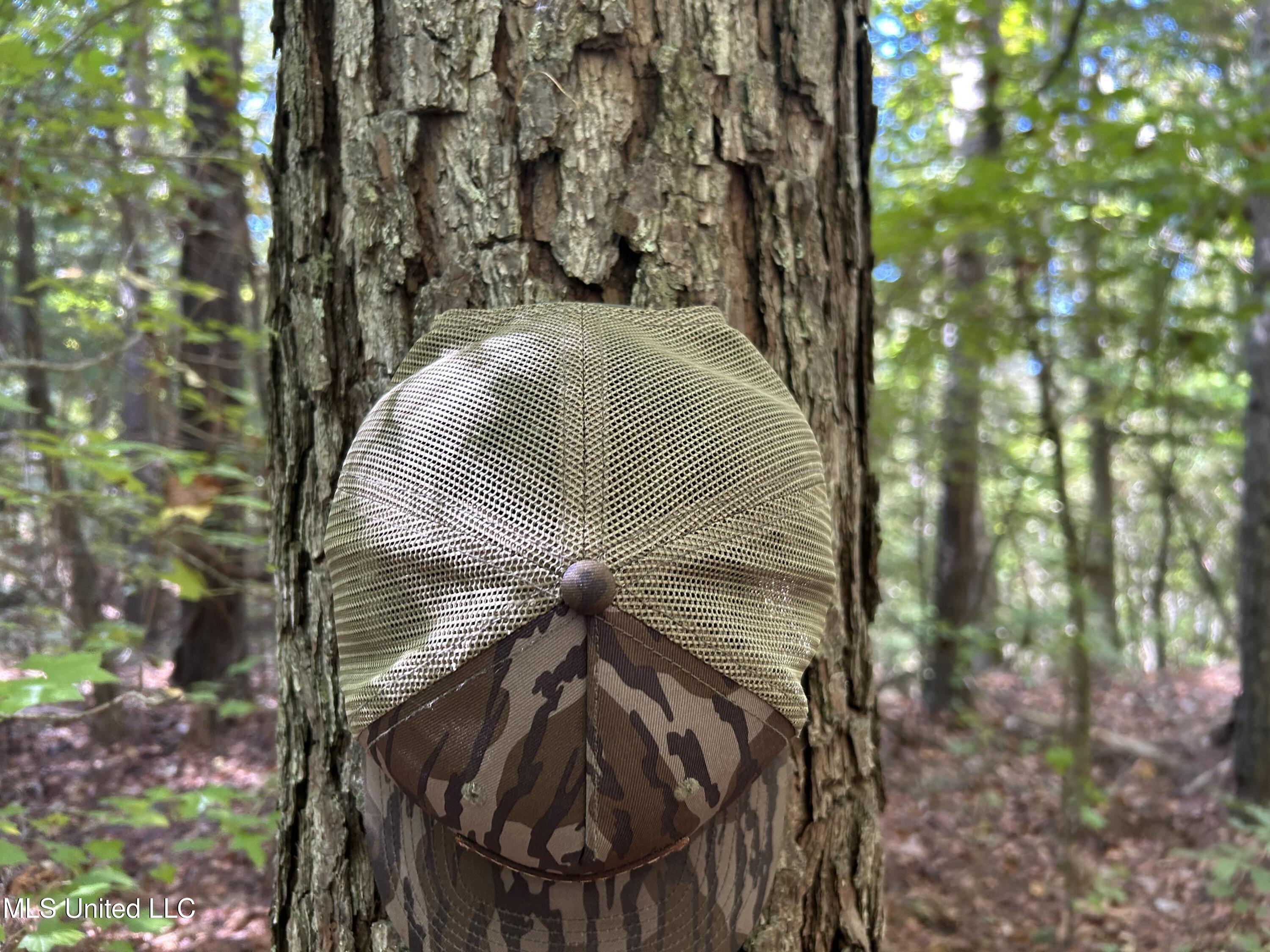 Perry Creek Road Property Photo 19