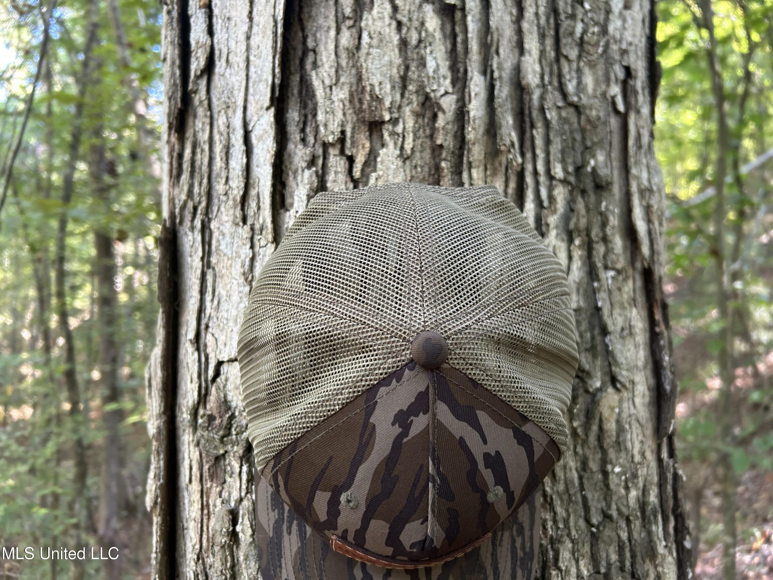 Perry Creek Road Property Photo 20