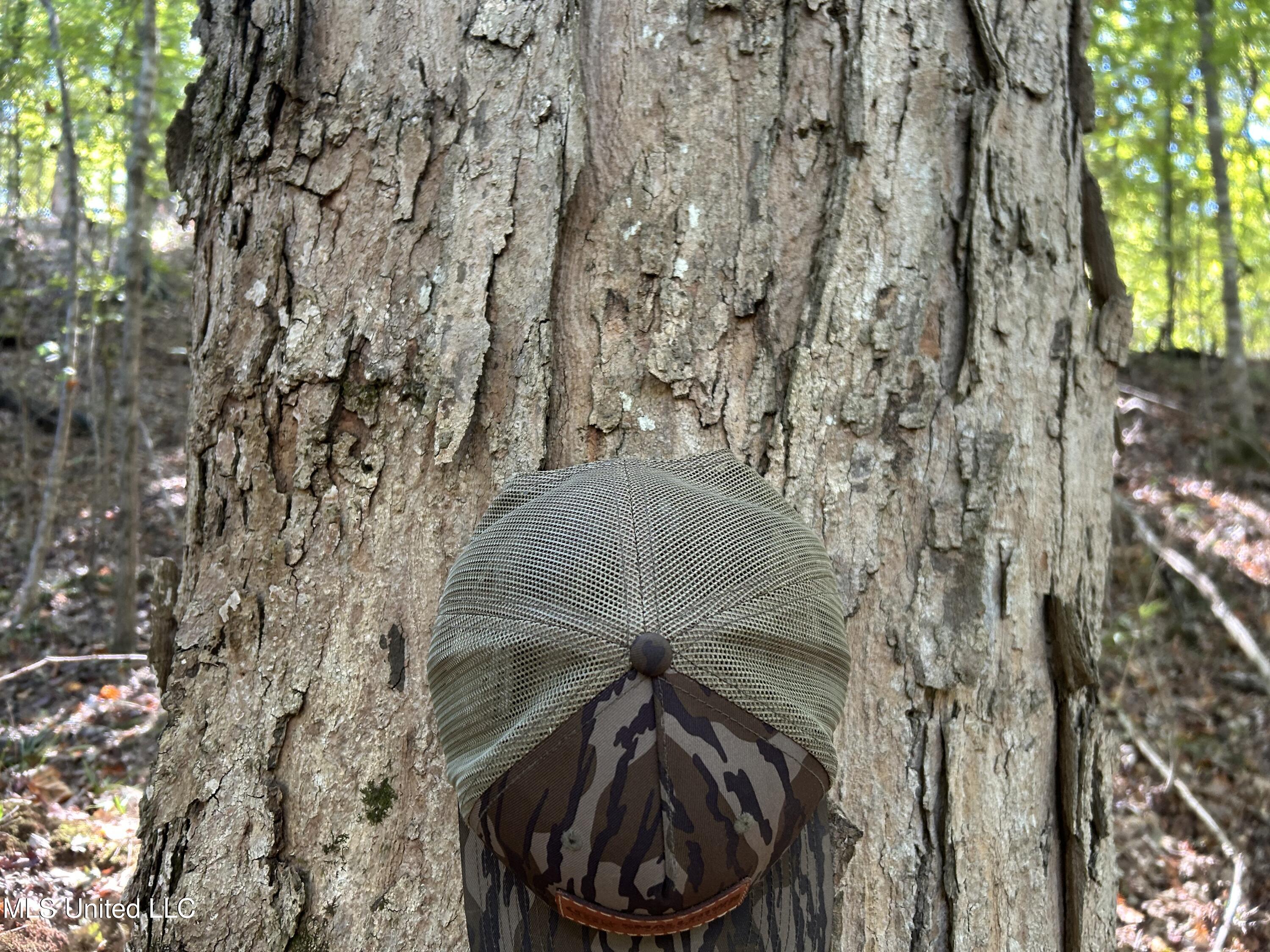 Perry Creek Road Property Photo 21