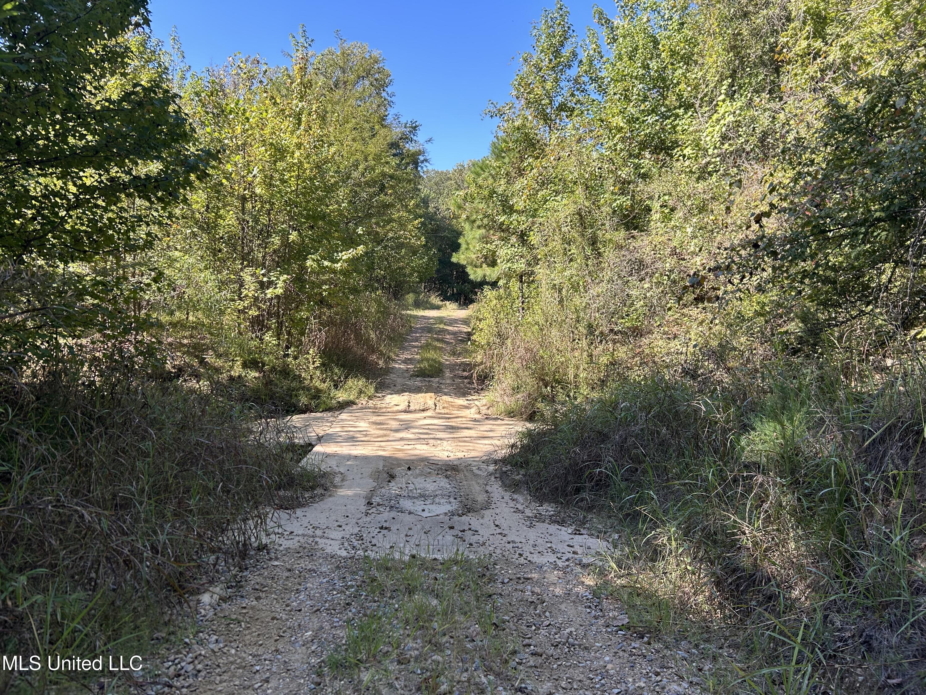 Perry Creek Road Property Photo 22