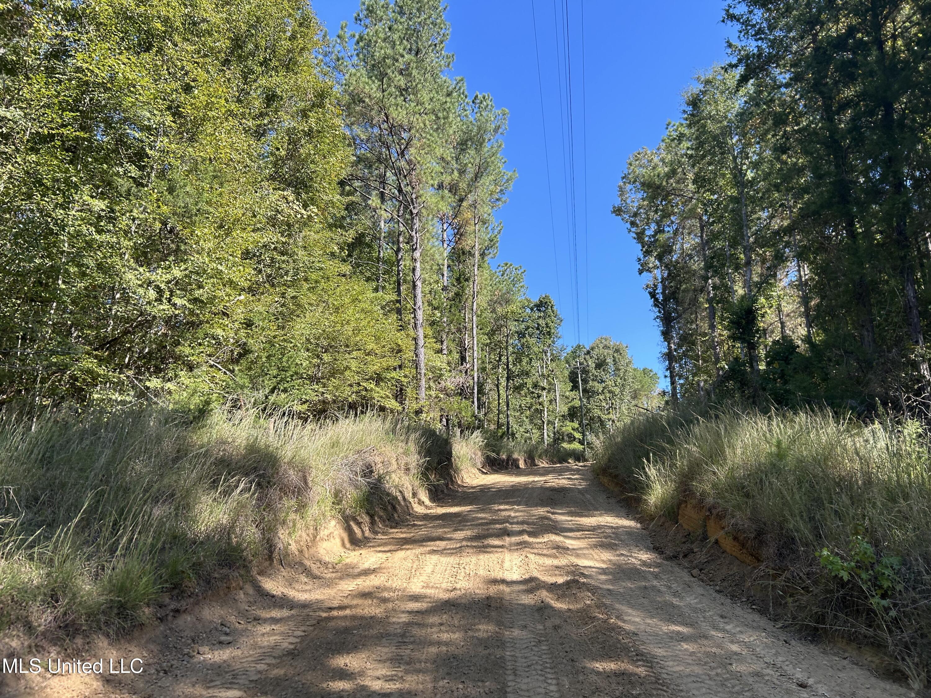 Perry Creek Road Property Photo 23