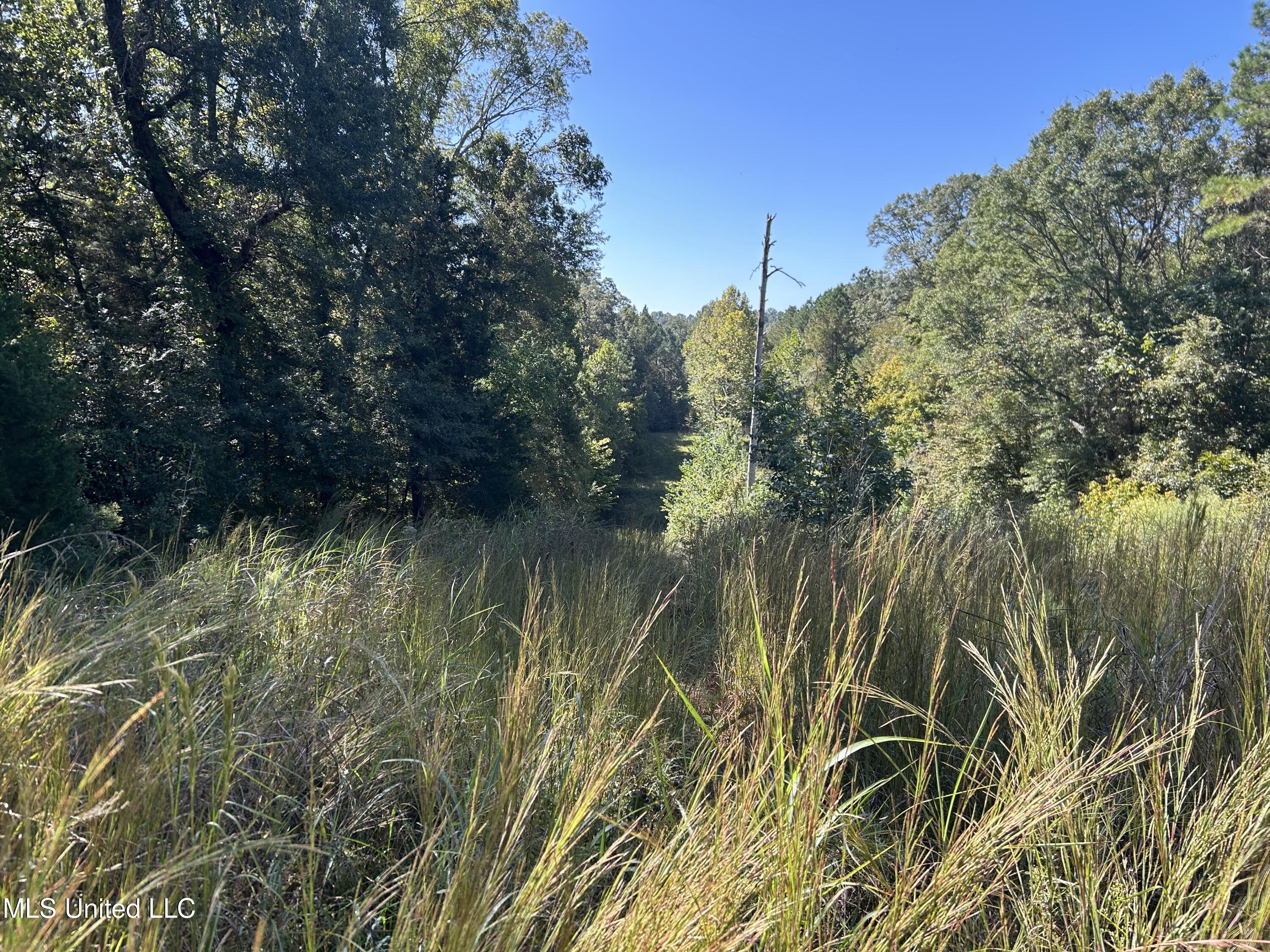 Perry Creek Road Property Photo 24