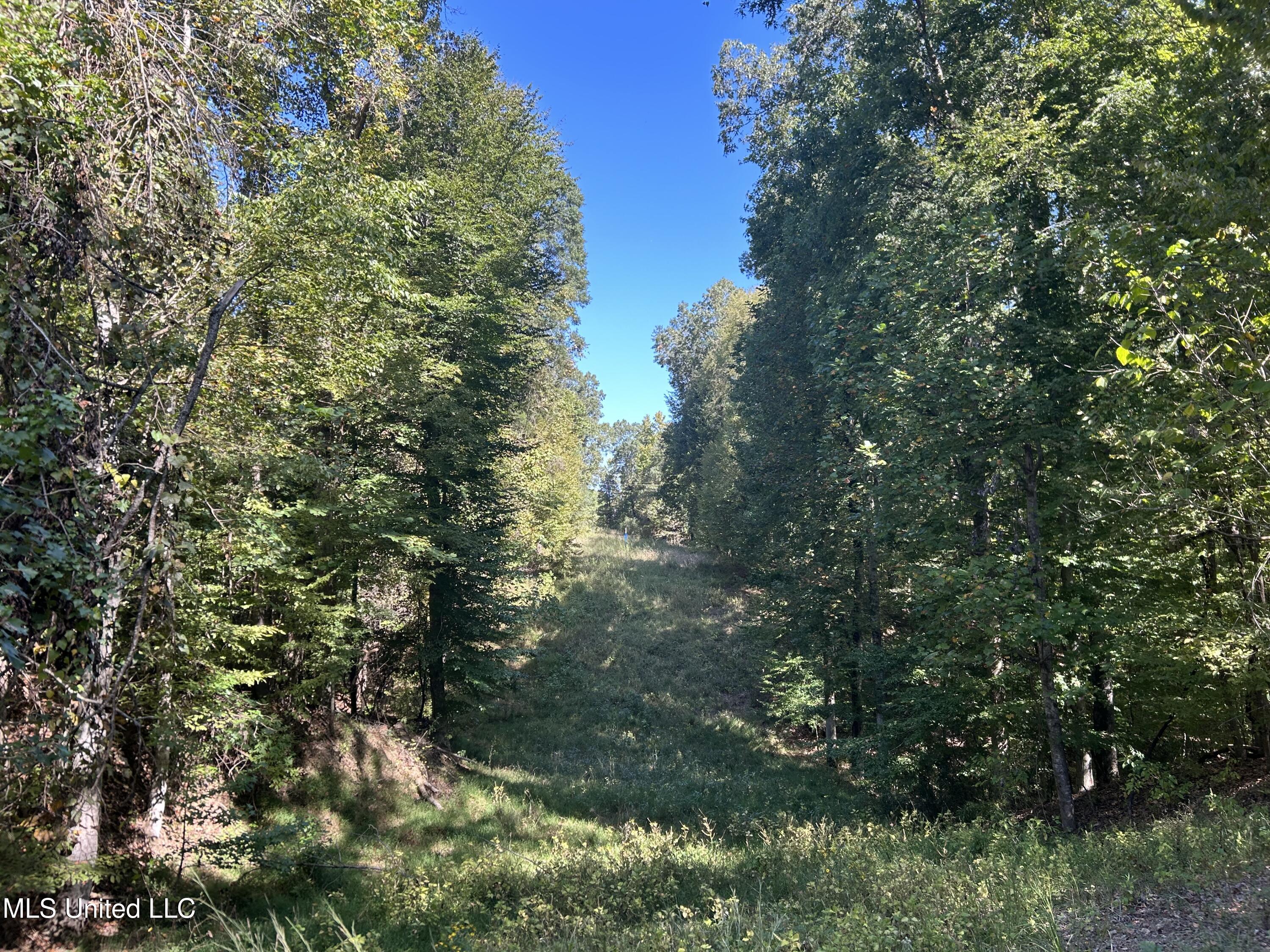 Perry Creek Road Property Photo 25