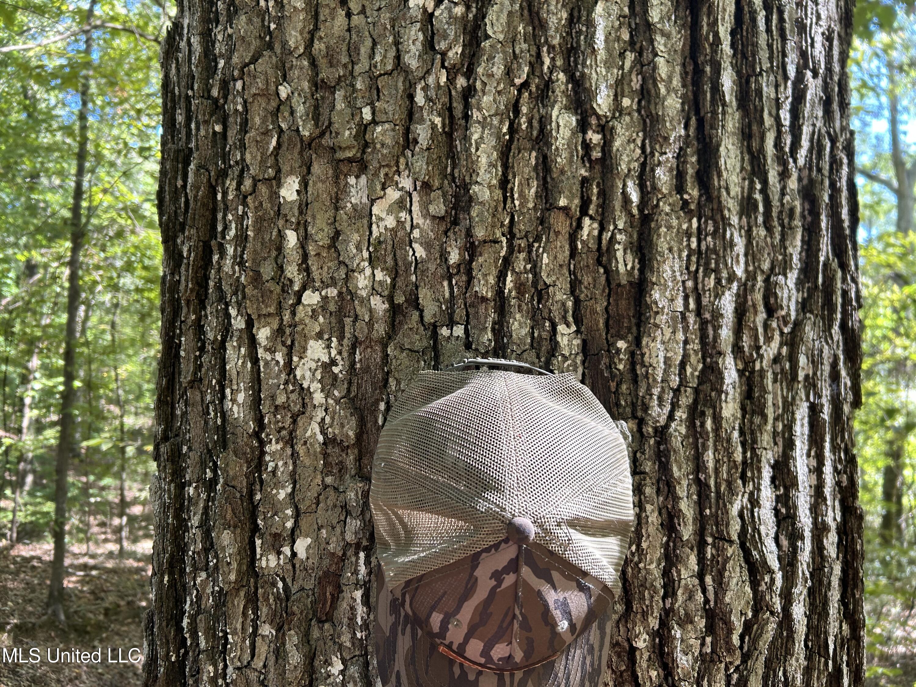 Perry Creek Road Property Photo 26