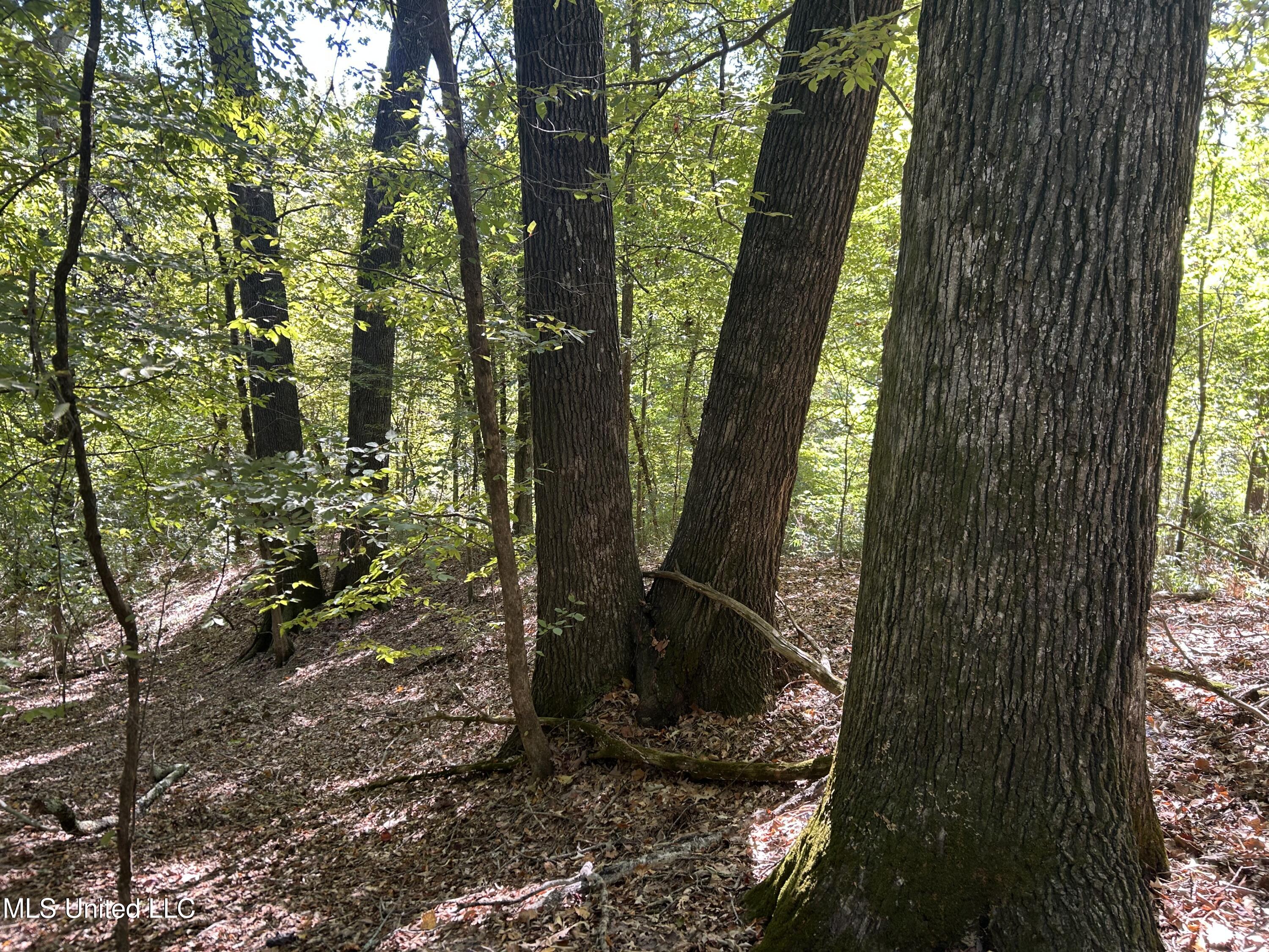 Perry Creek Road Property Photo 27