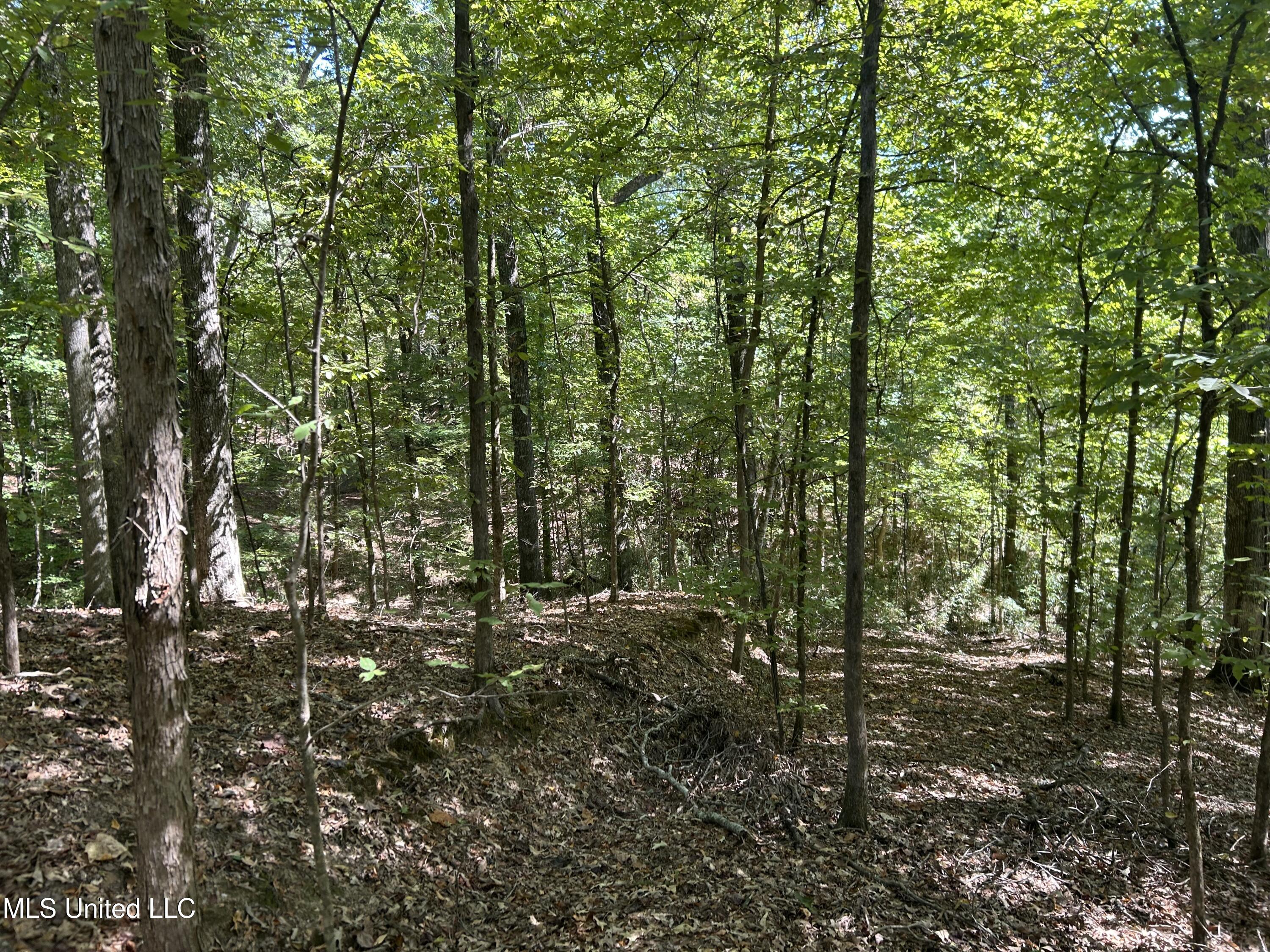 Perry Creek Road Property Photo 28