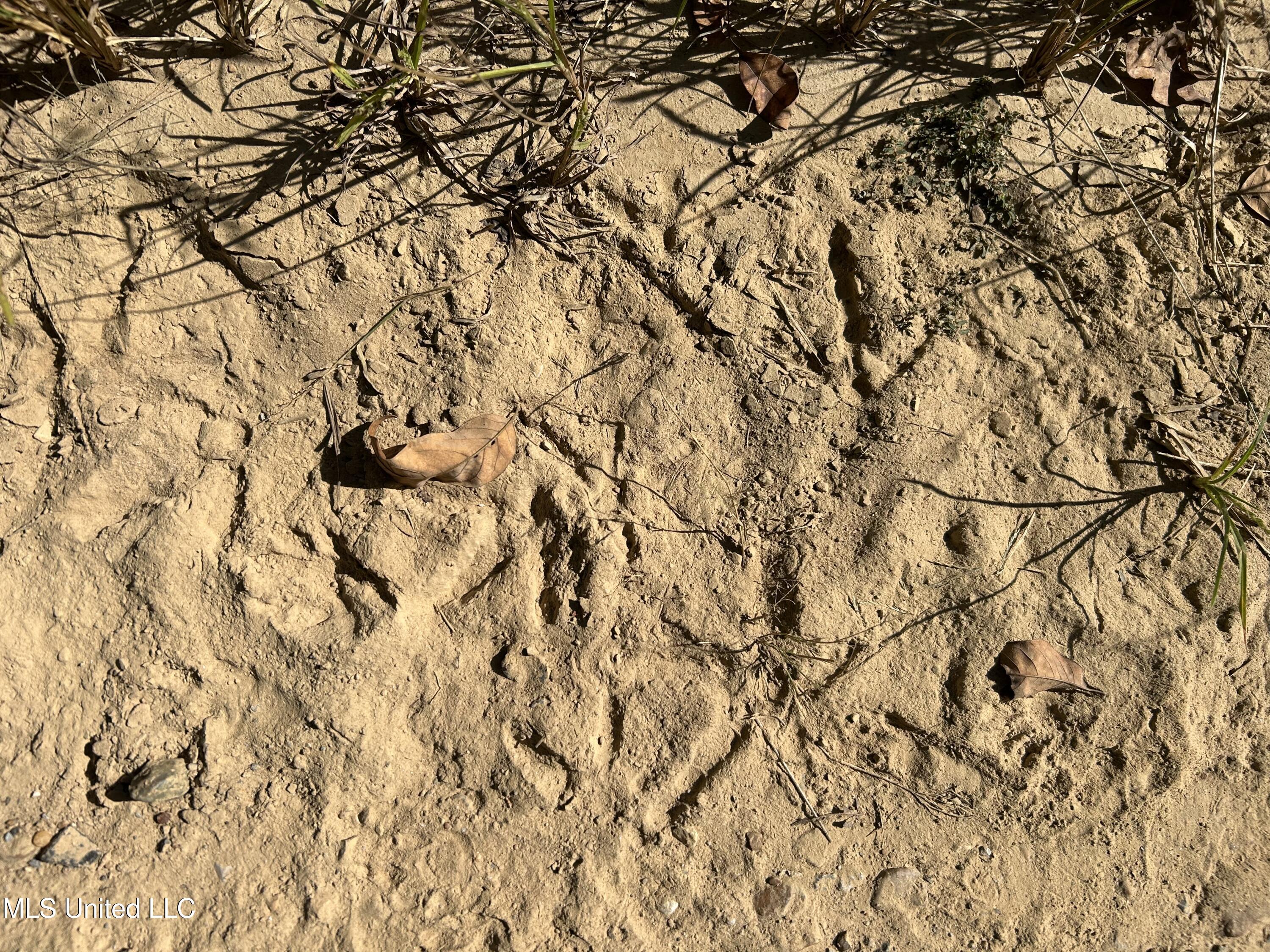 Perry Creek Road Property Photo 29