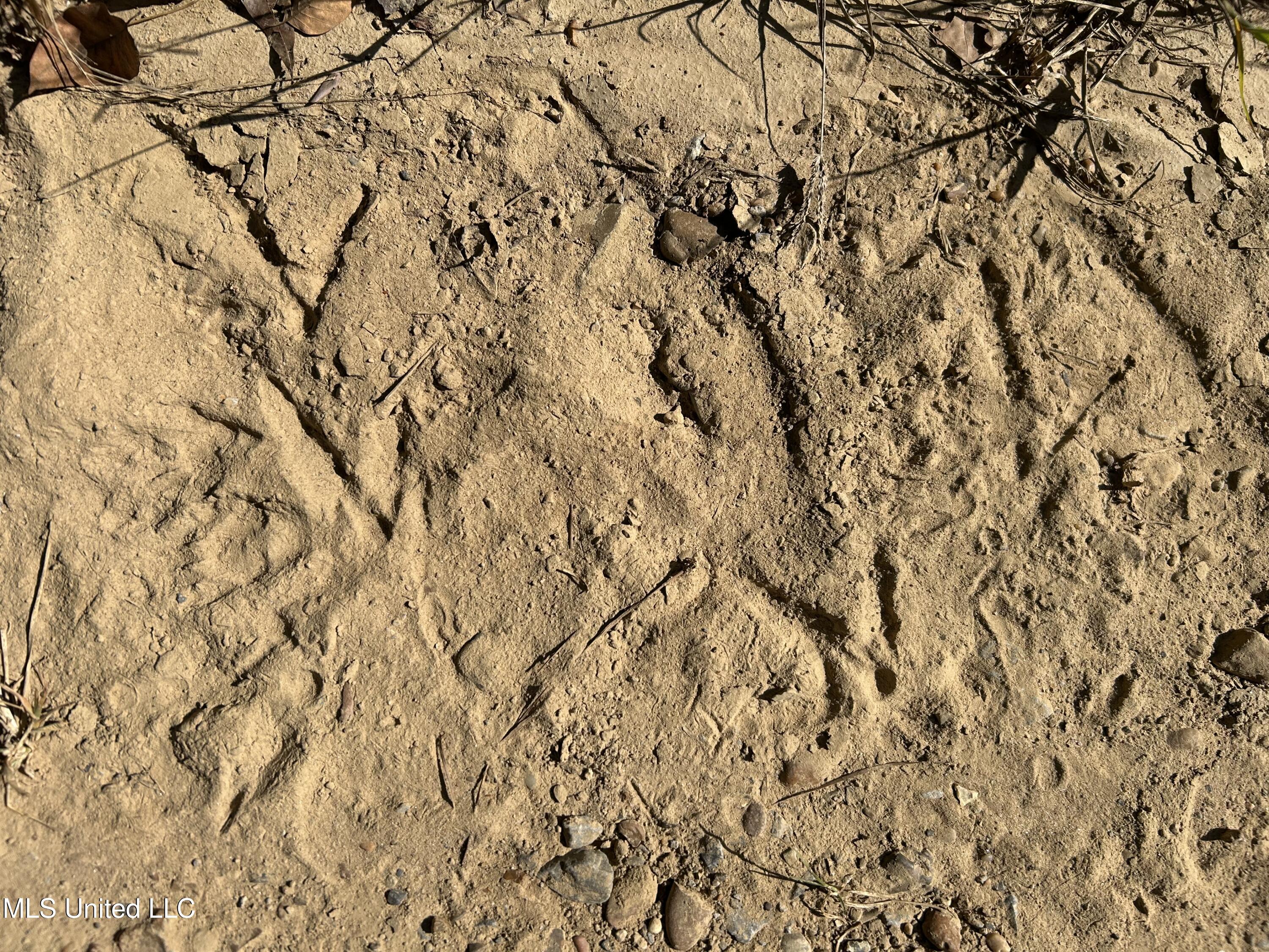 Perry Creek Road Property Photo 30