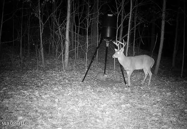 Perry Creek Road Property Photo 38