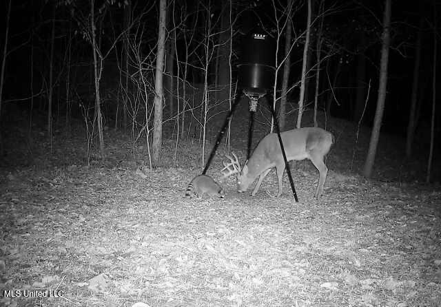 Perry Creek Road Property Photo 39