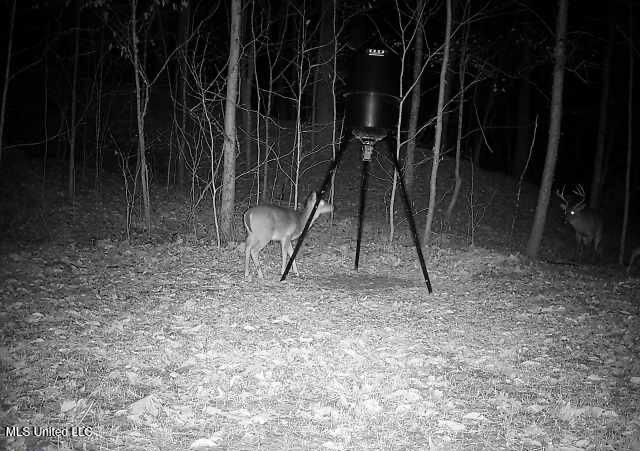 Perry Creek Road Property Photo 40