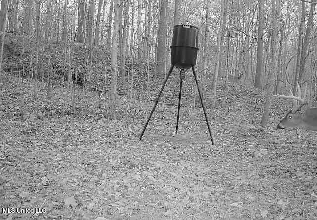 Perry Creek Road Property Photo 41