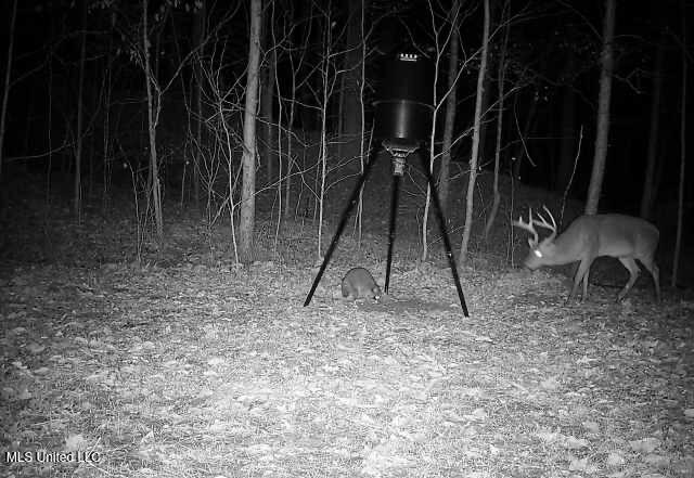 Perry Creek Road Property Photo 42